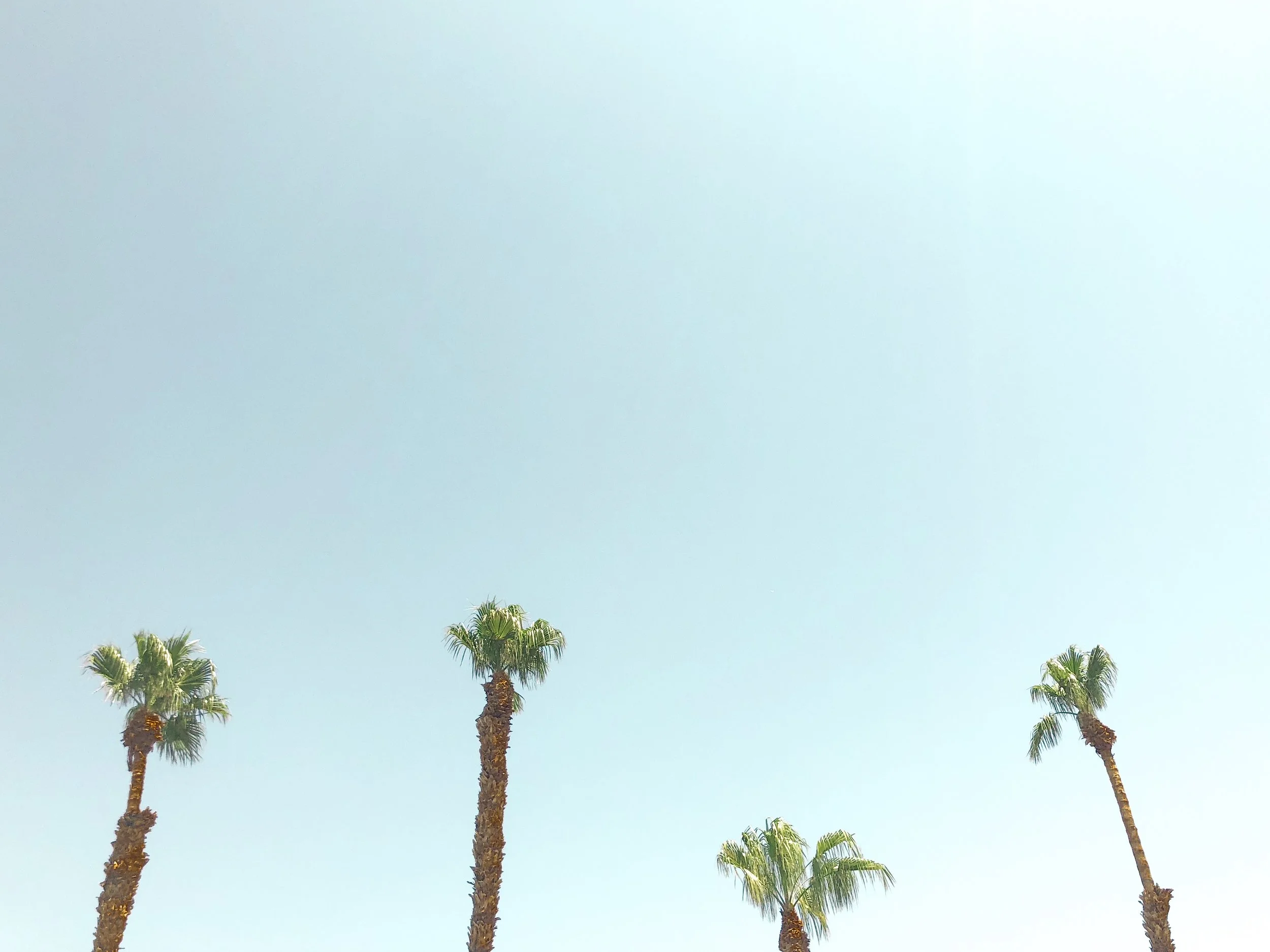 The Knot Bachelorette Guide: Palm Springs, CA