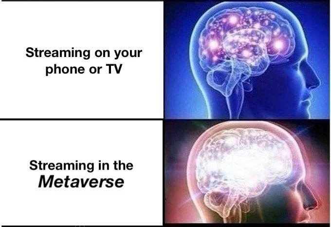 Peacock Enters the Metaverse: Extending the Reality of Streaming into VR