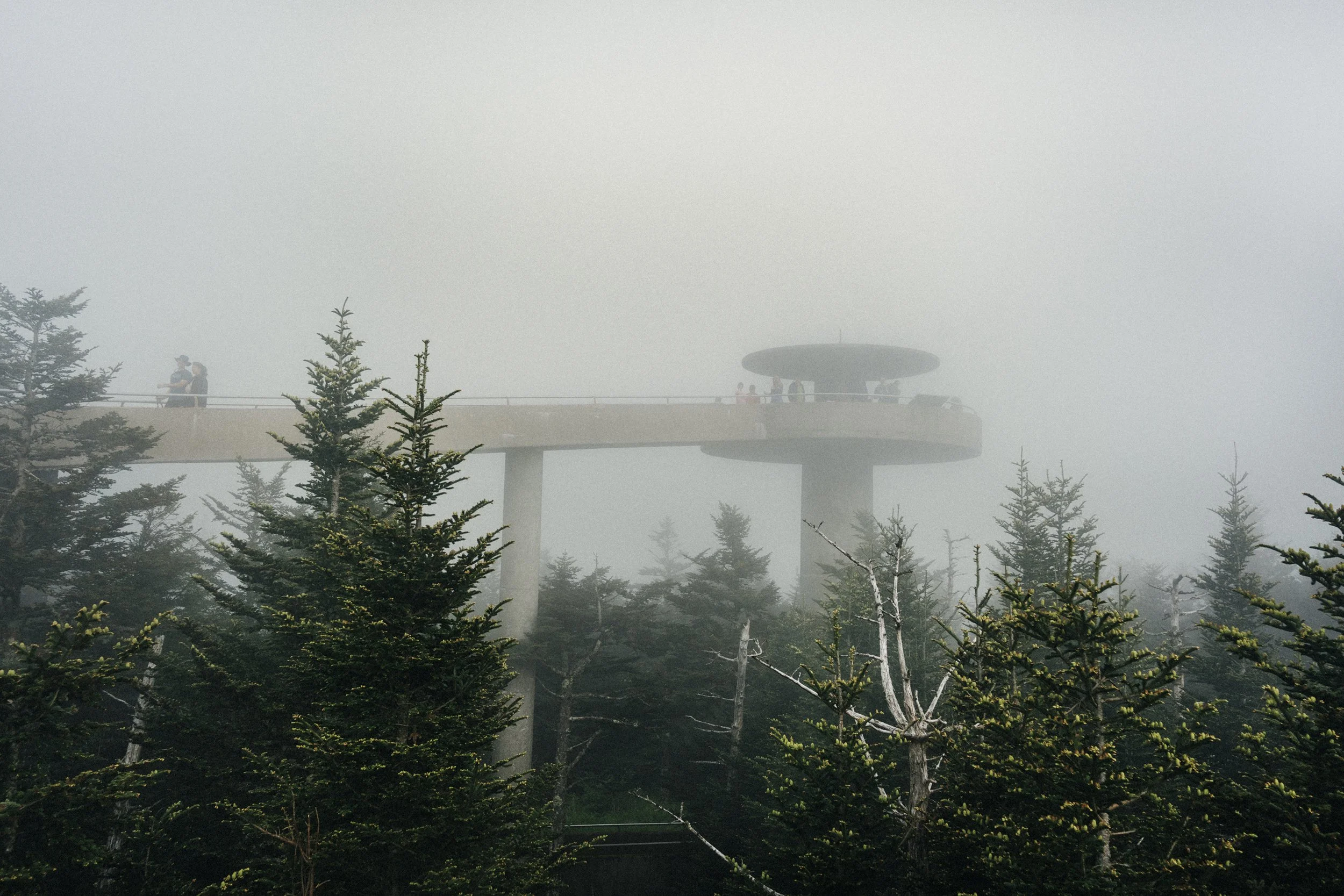 1062025_Great Smokey Mountains_EmiliaWronski_5 2.jpg