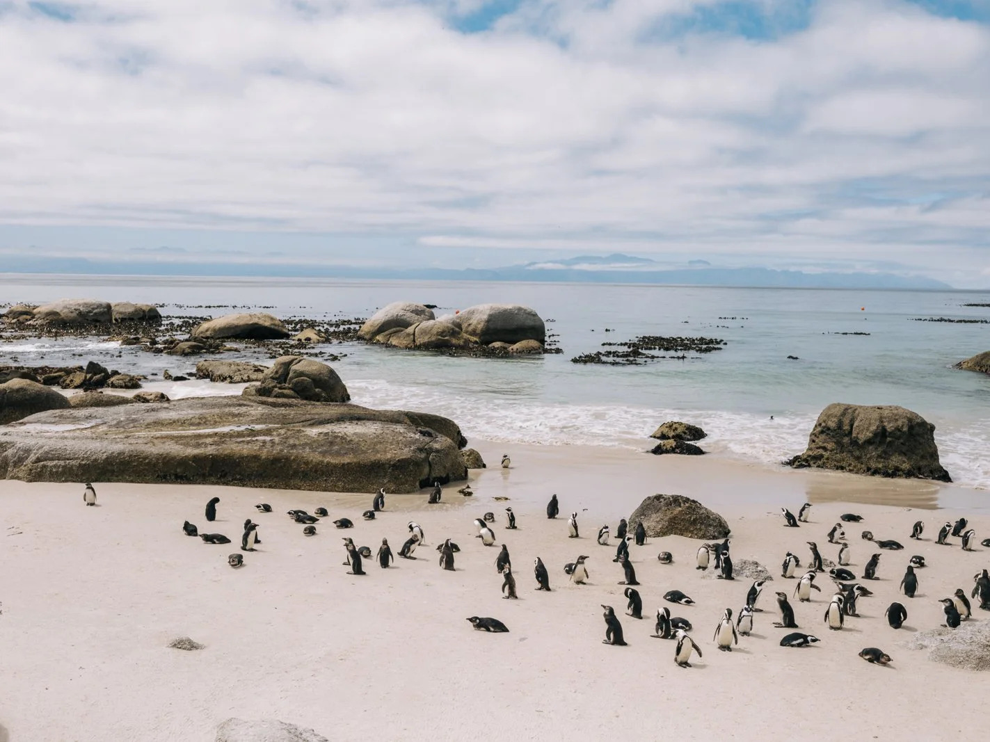 20251020_Cape Town South Africa_EmiliaWronski_24.jpg