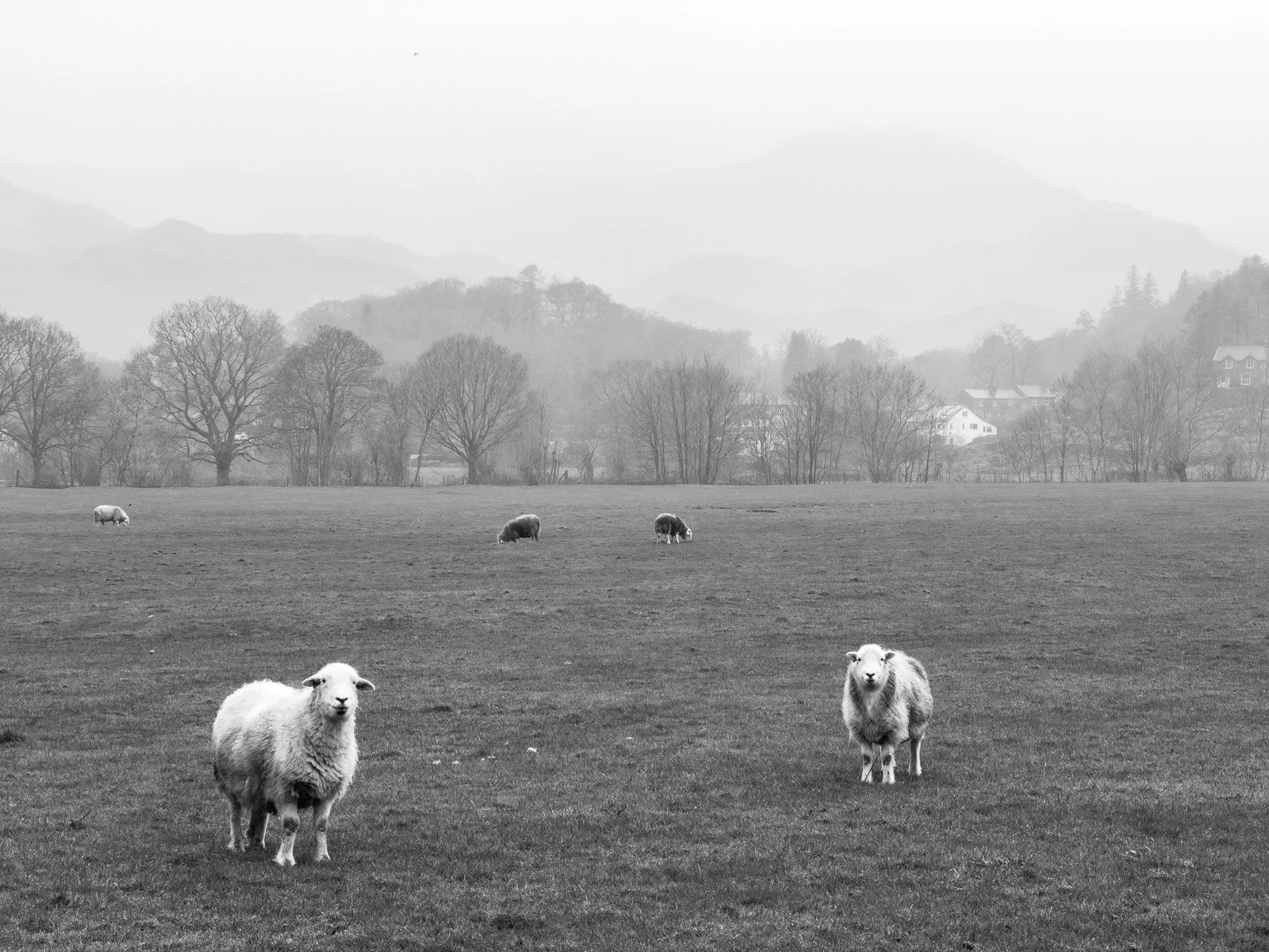 keithsymons_lakedistrict-13.jpg