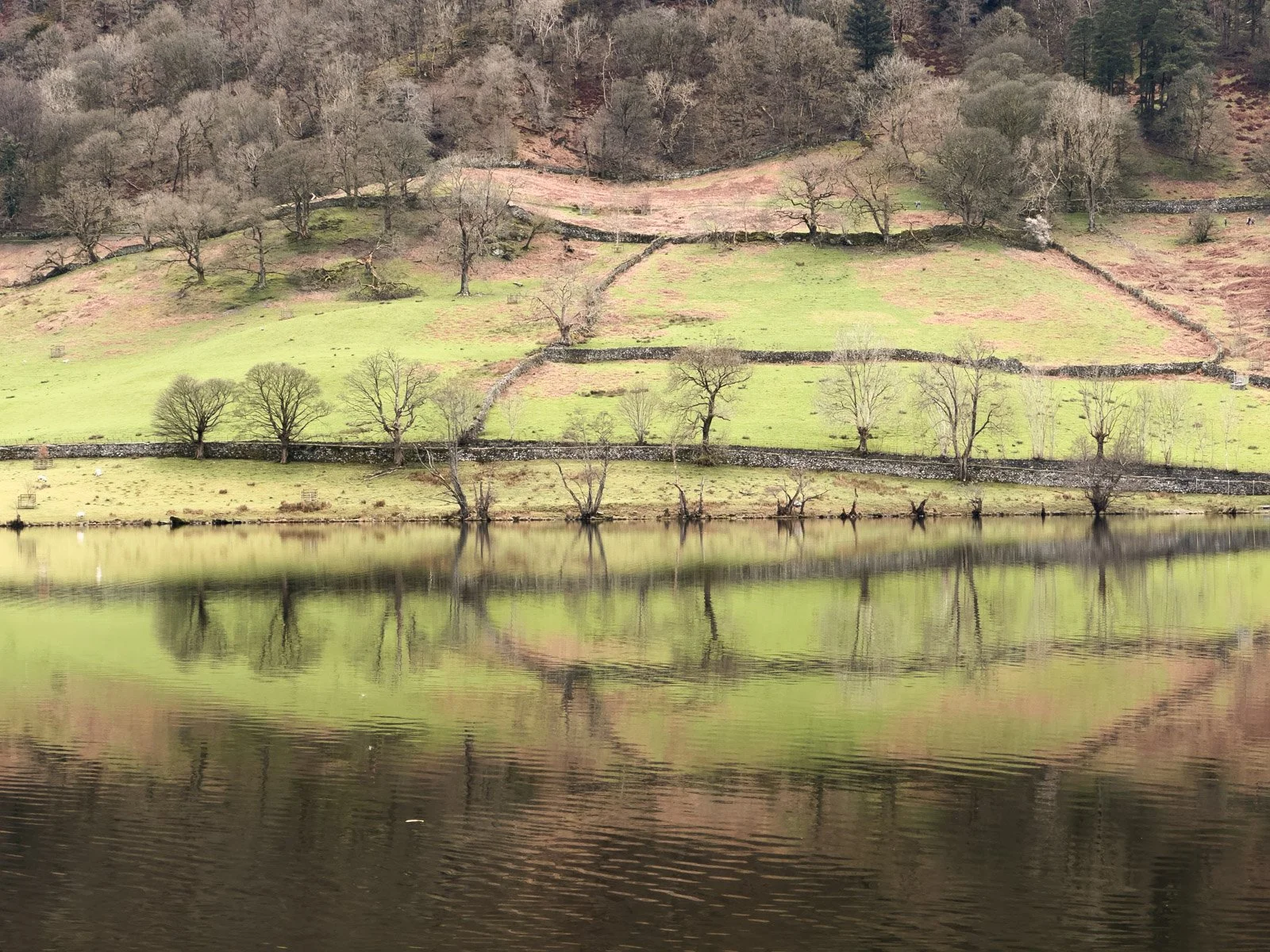 keithsymons_lakedistrict-11.jpg