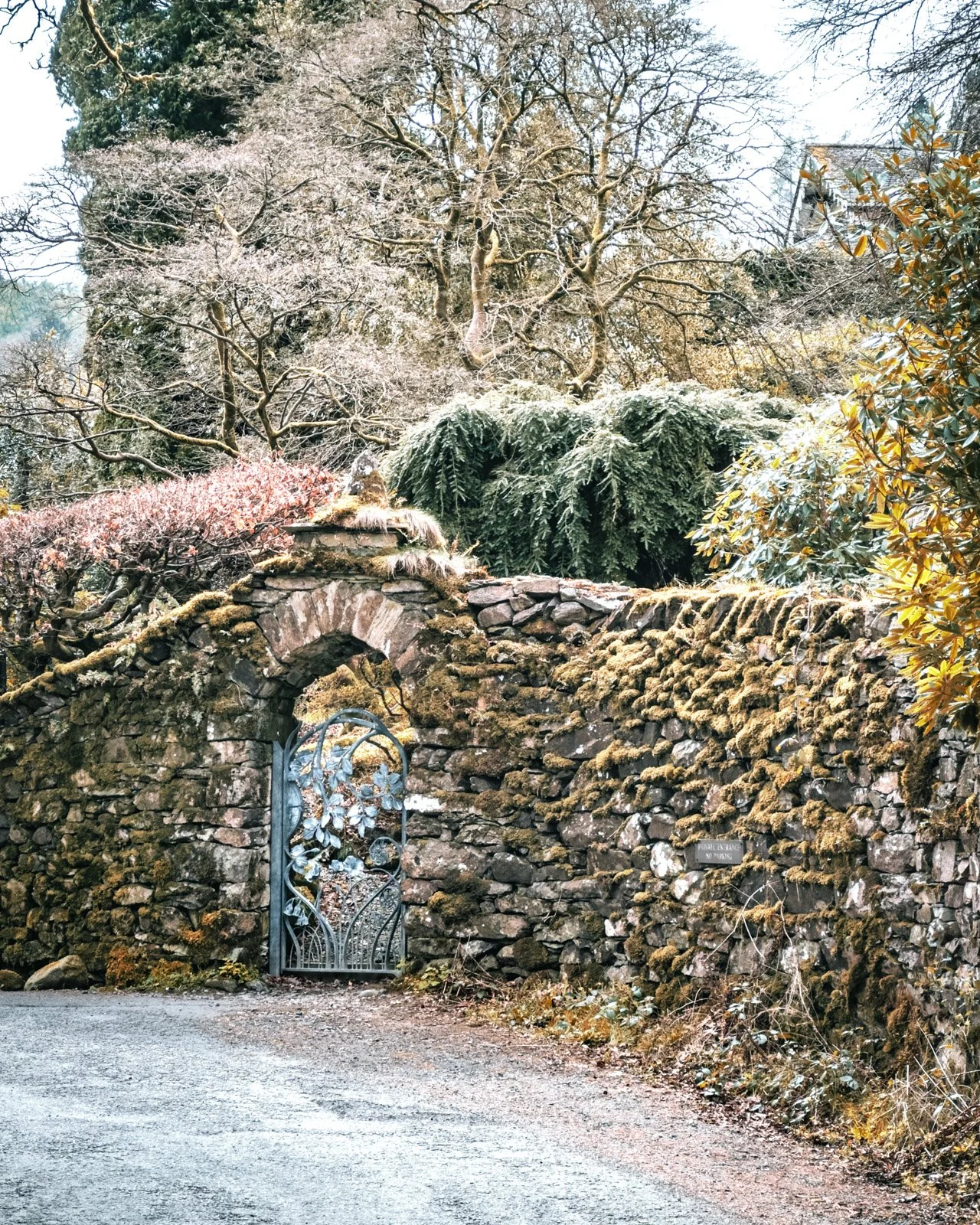 keithsymons_lakedistrict-02.jpg