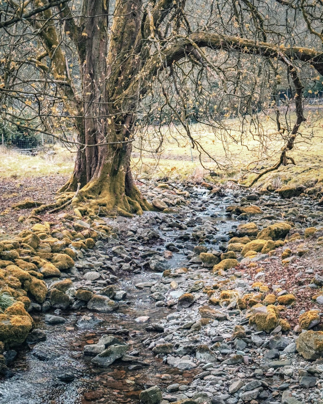 keithsymons_lakedistrict-03.jpg