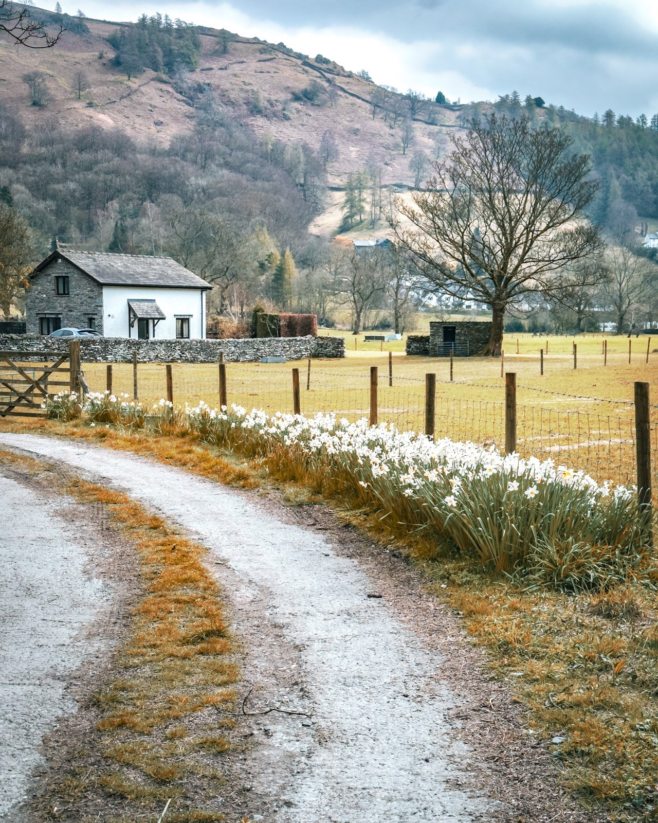 keithsymons_lakedistrict-01.jpg