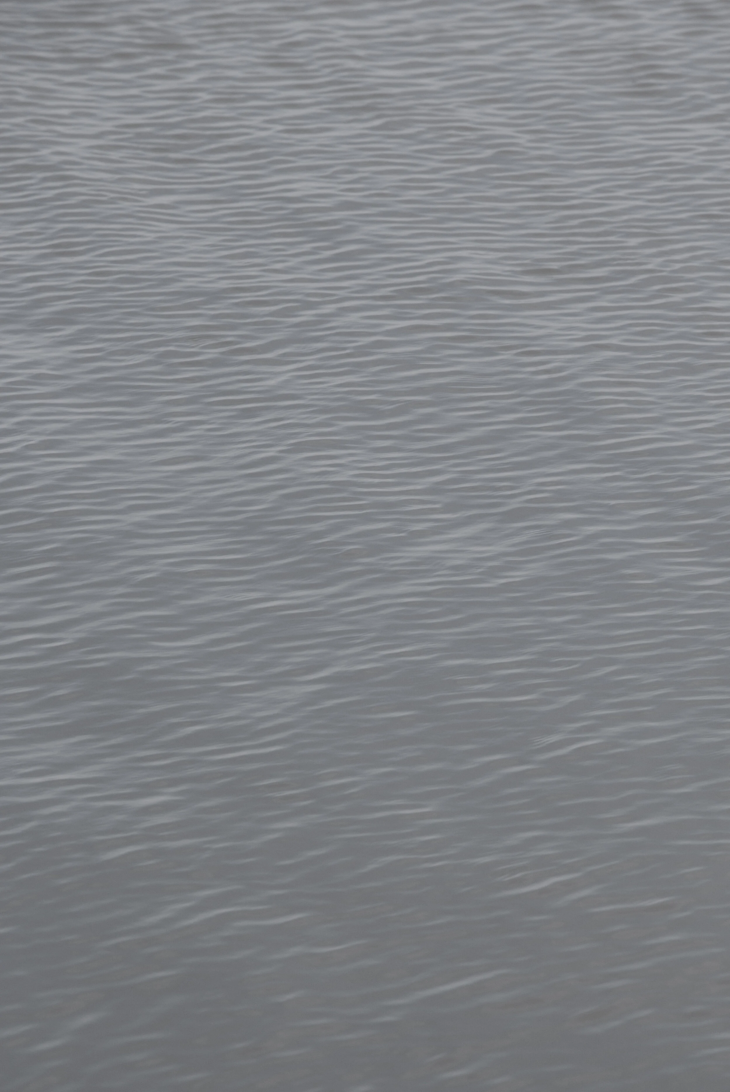 ripples mecox hamptons