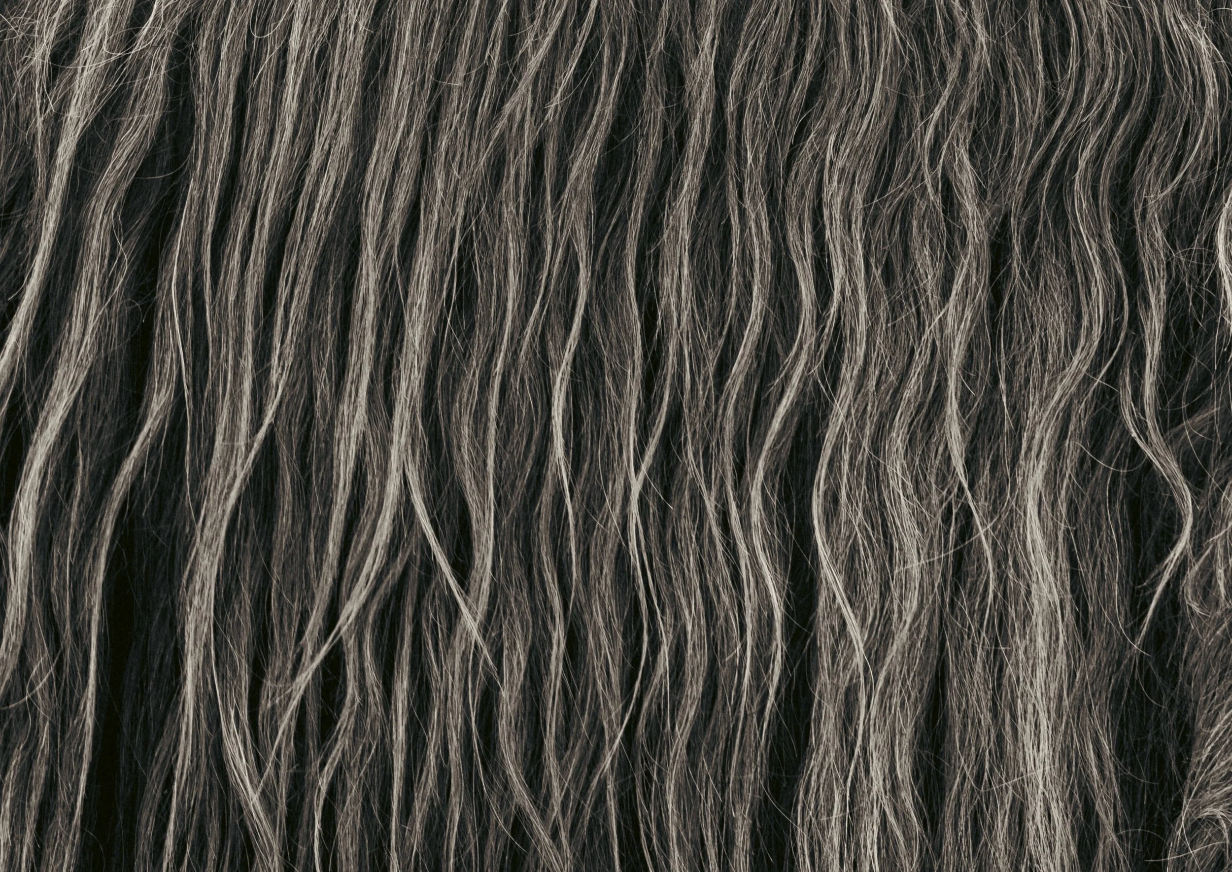 “Mane” - Barcelona 2026