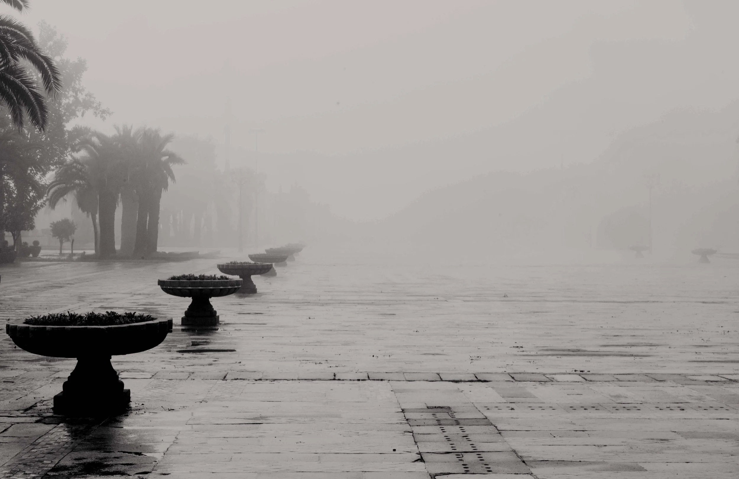 Between the Mist - Morocco - 2025