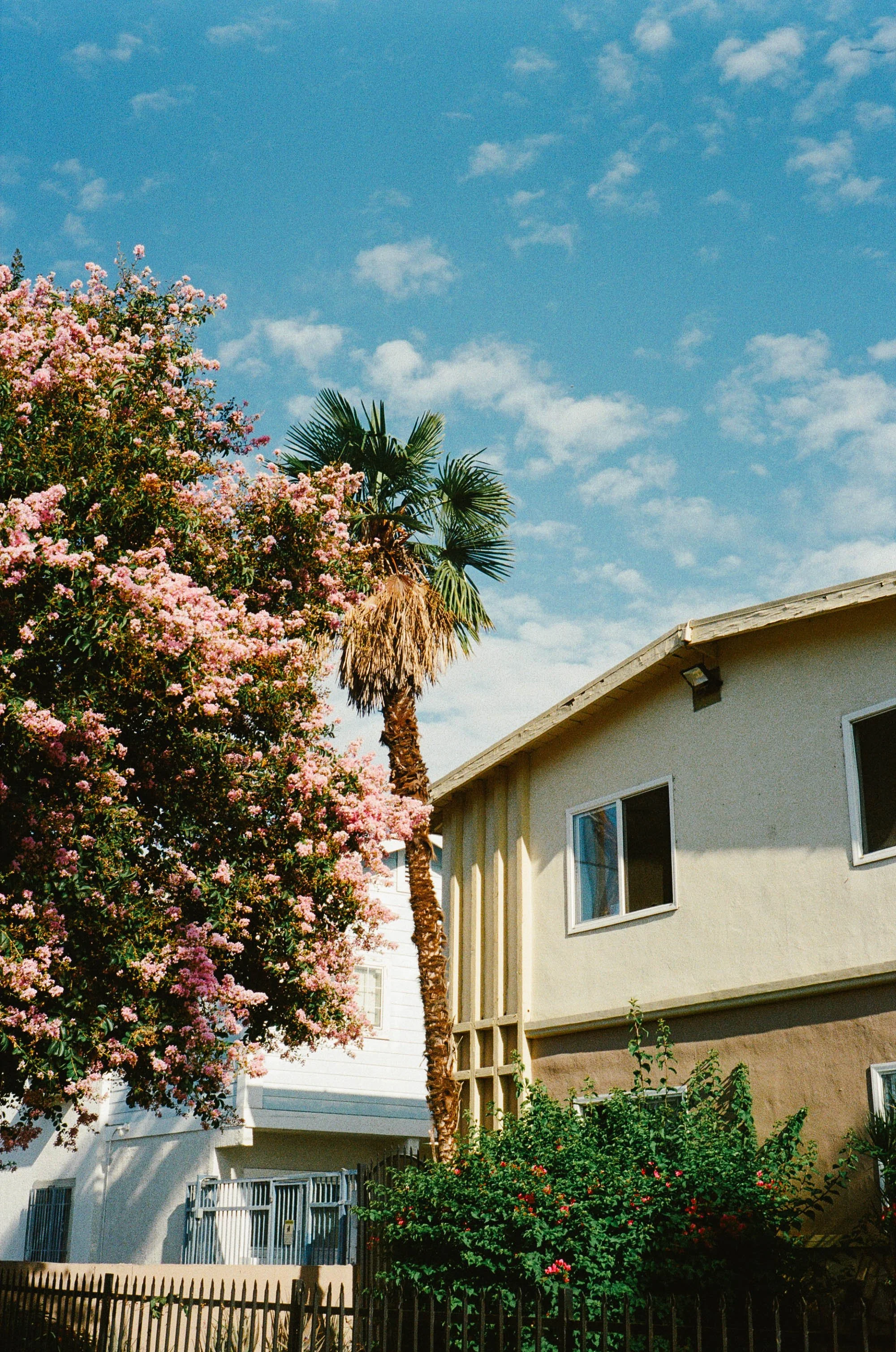 kodak_400_c_41_11264_151296_337156_000097070015.jpg