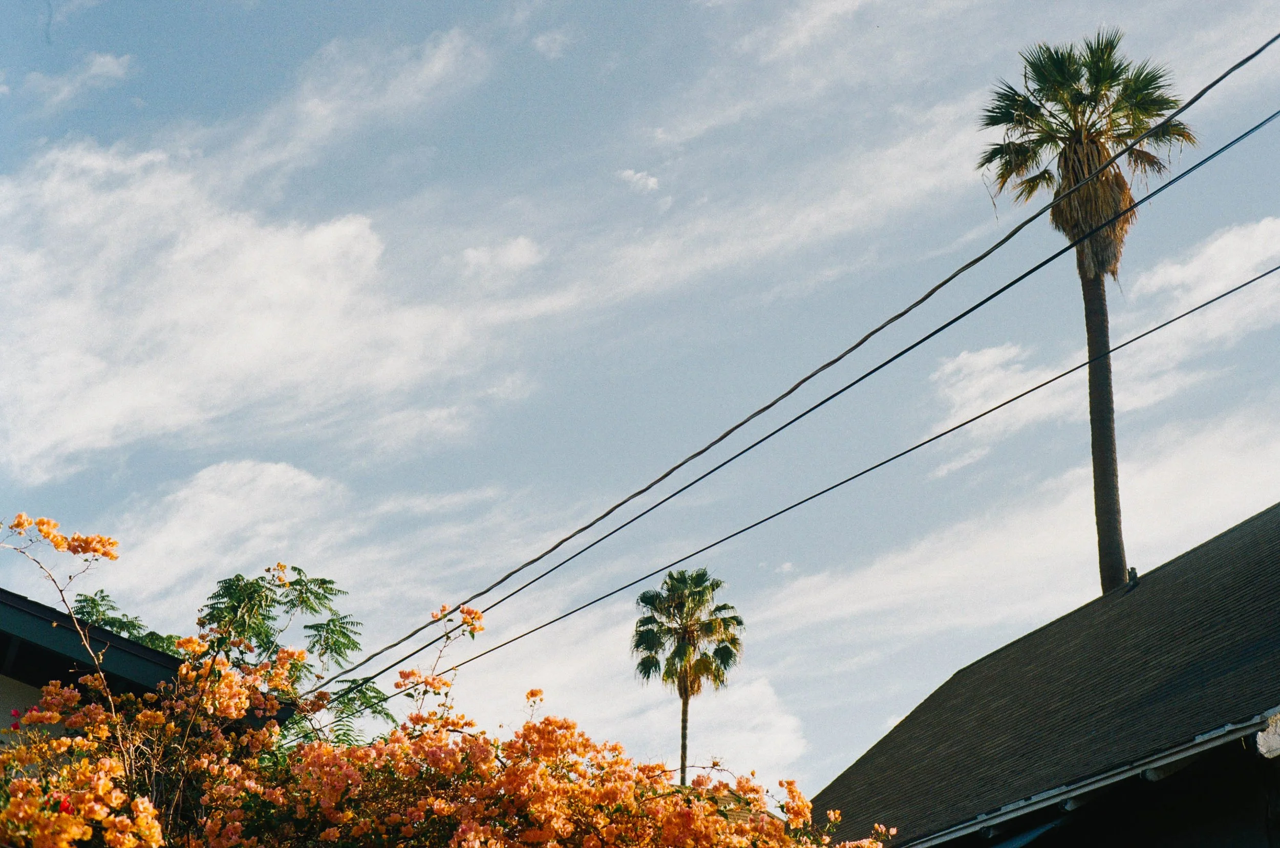 kodak_200_c_41_11264_151296_337155_000097060033.jpg