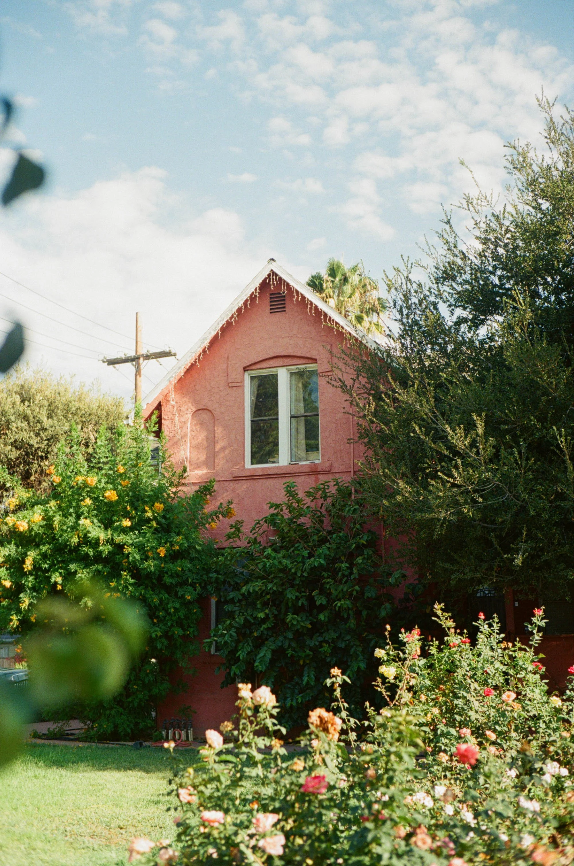 kodak_400_c_41_11264_151296_337156_000097070016.jpg