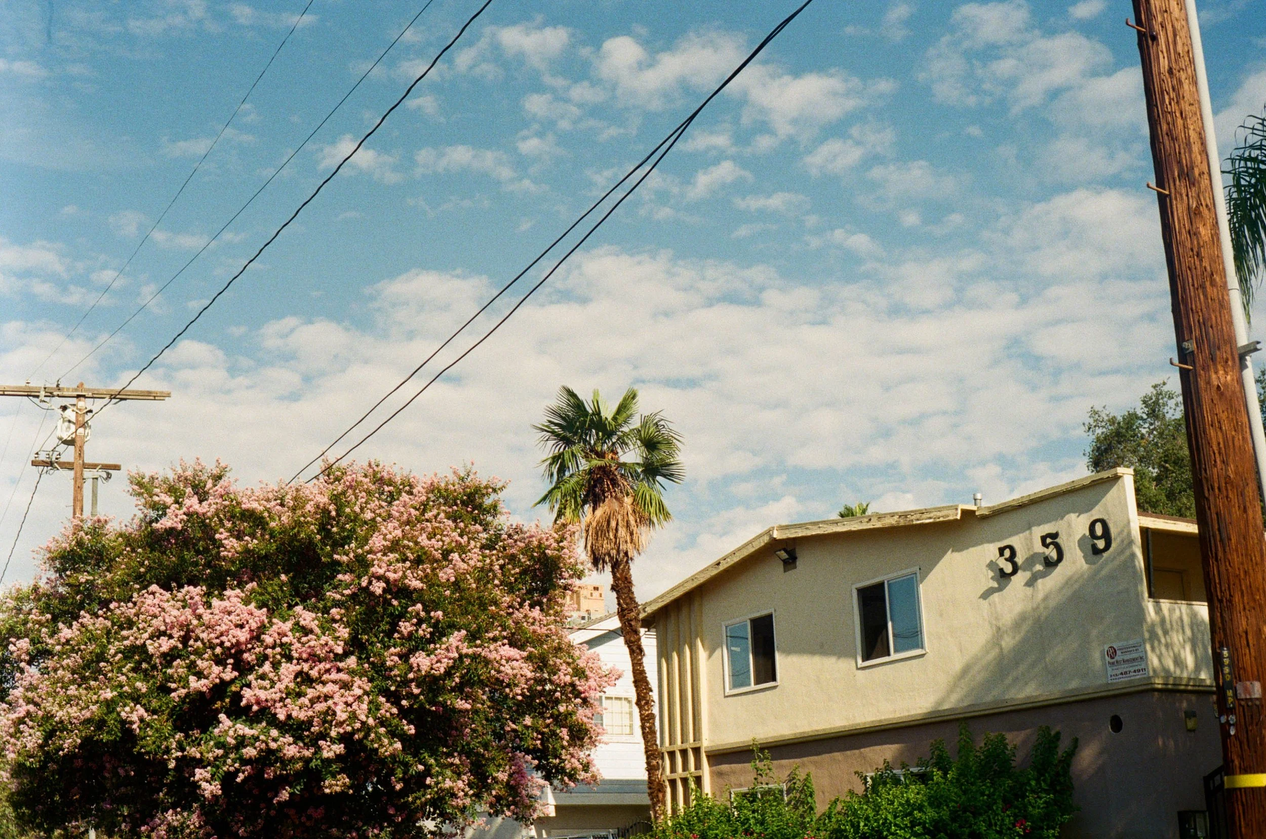 kodak_400_c_41_11264_151296_337156_000097070014.jpg