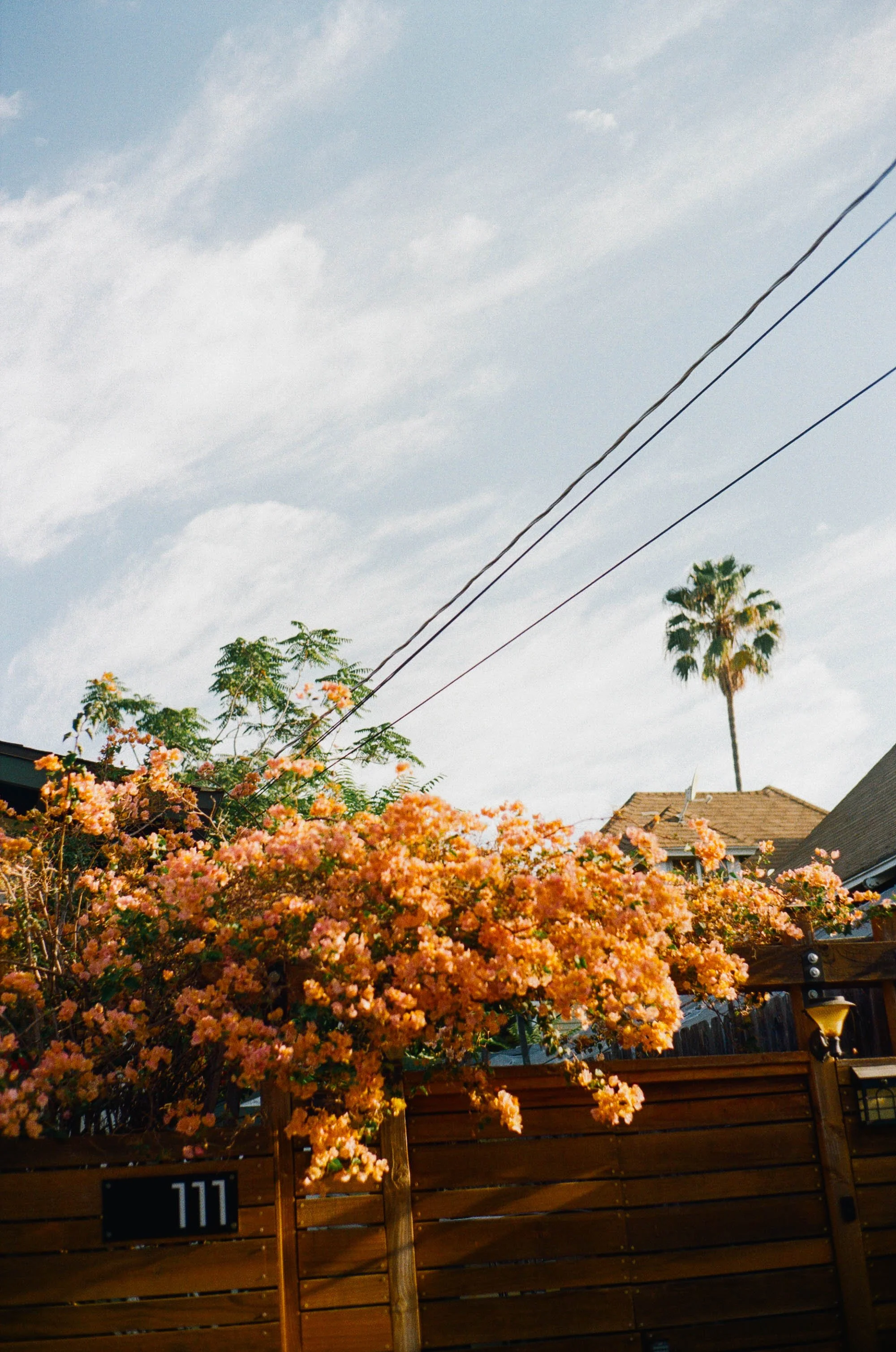 kodak_200_c_41_11264_151296_337155_000097060032.jpg