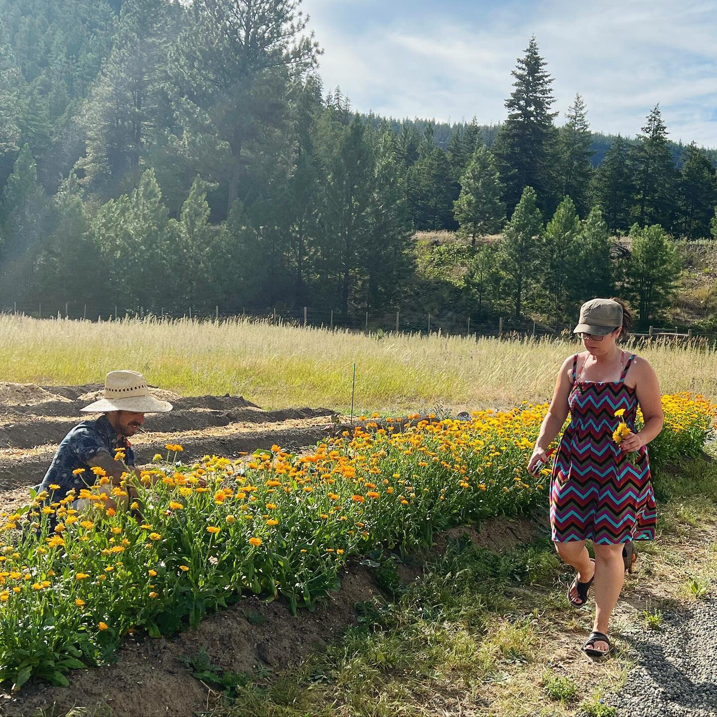 Earth and Soul Collections will be taking a little break from the Nicola Valley Farmers Market this Saturday, we look forward to catching up with you again next weekend on August 27th!

In the meantime, please enjoy this photo of my lovely Mother and