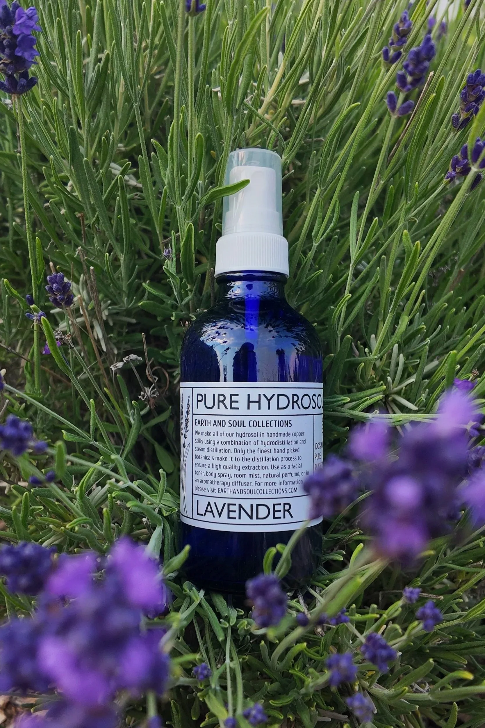 Lavender Hydrosol