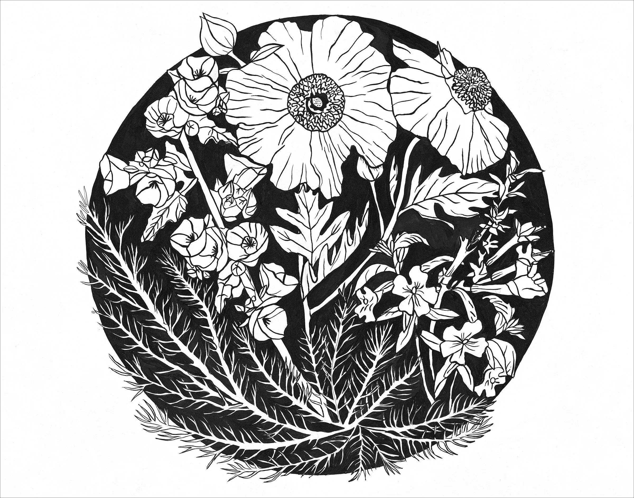 Print - California Natives