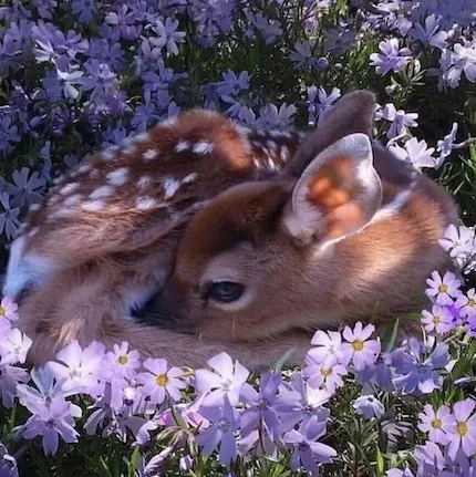 Daring to Grow