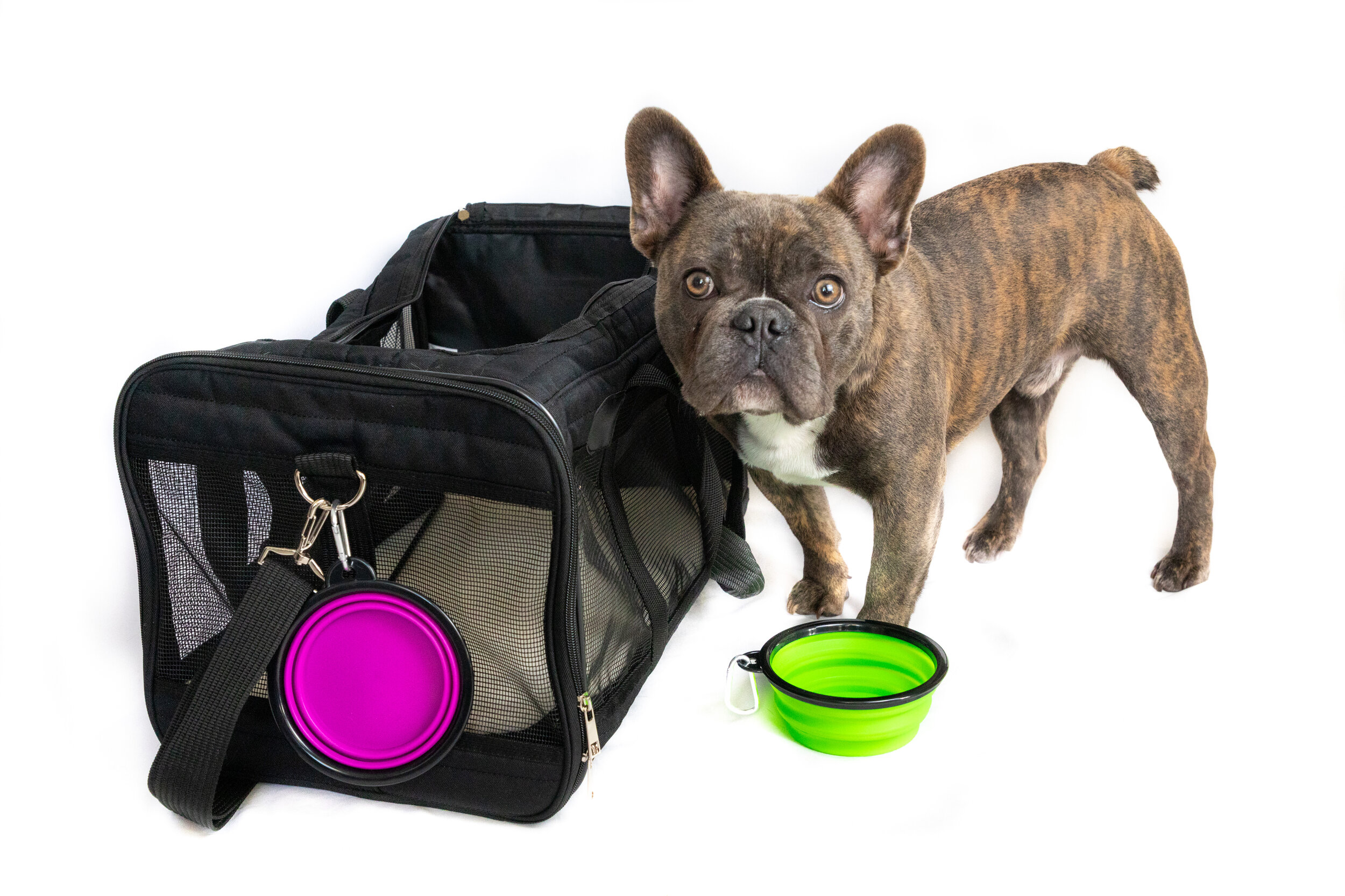 Dog_Carrier_Product_Shots (12 of 21).jpg