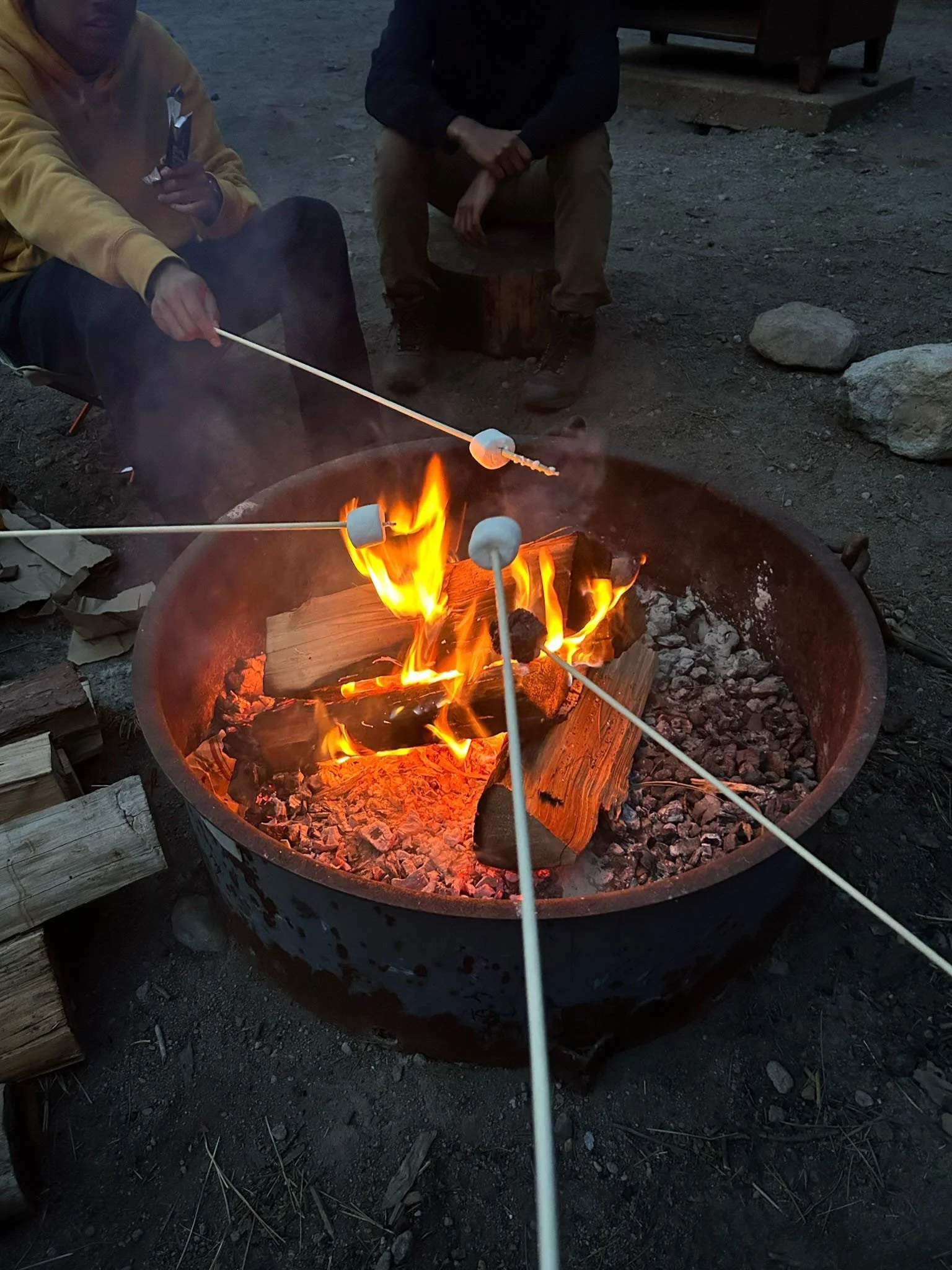 Week 6: Intermediate Channel Islands Camping