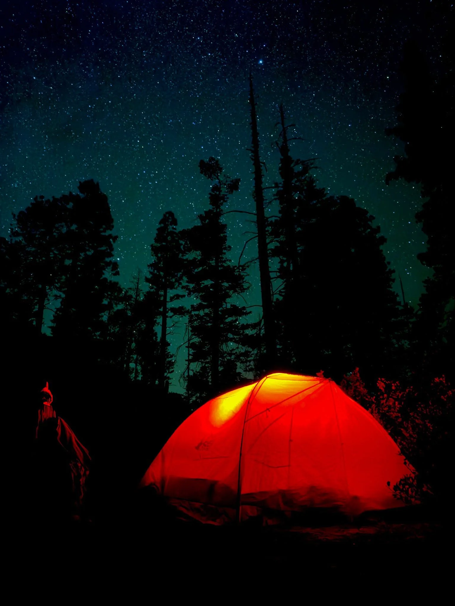 Week 8: Intermediate Climbing Club x ITW San Luis Obispo