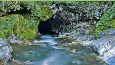 Beginner West Sierra Slope Caves & Giant Trees Car Camping