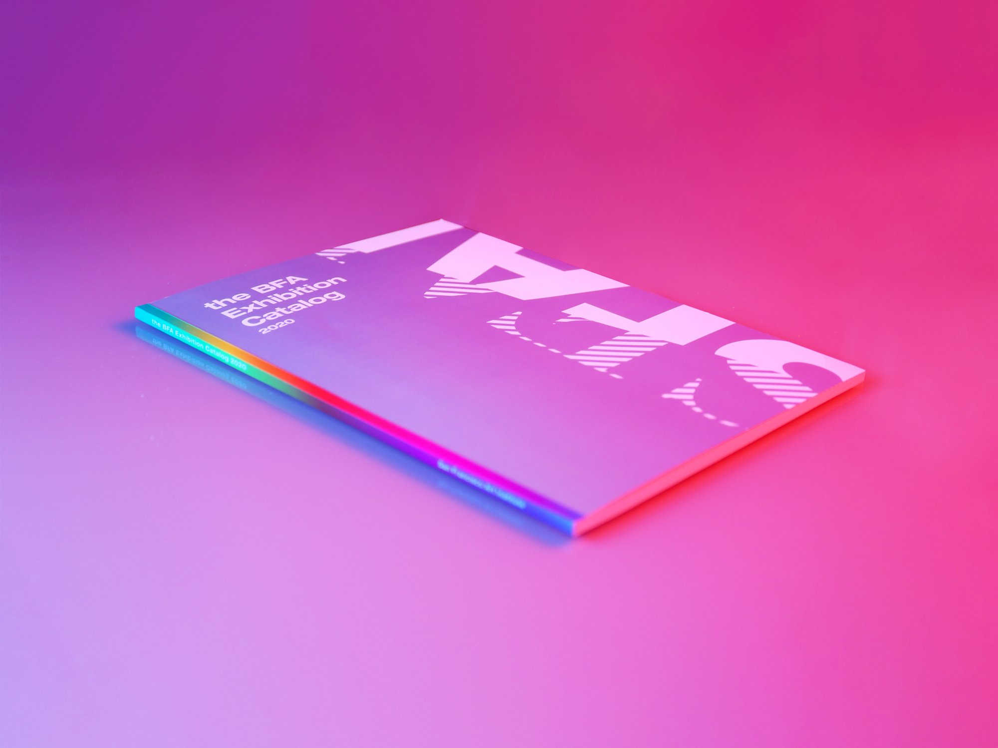 SFAI BFA Catalog