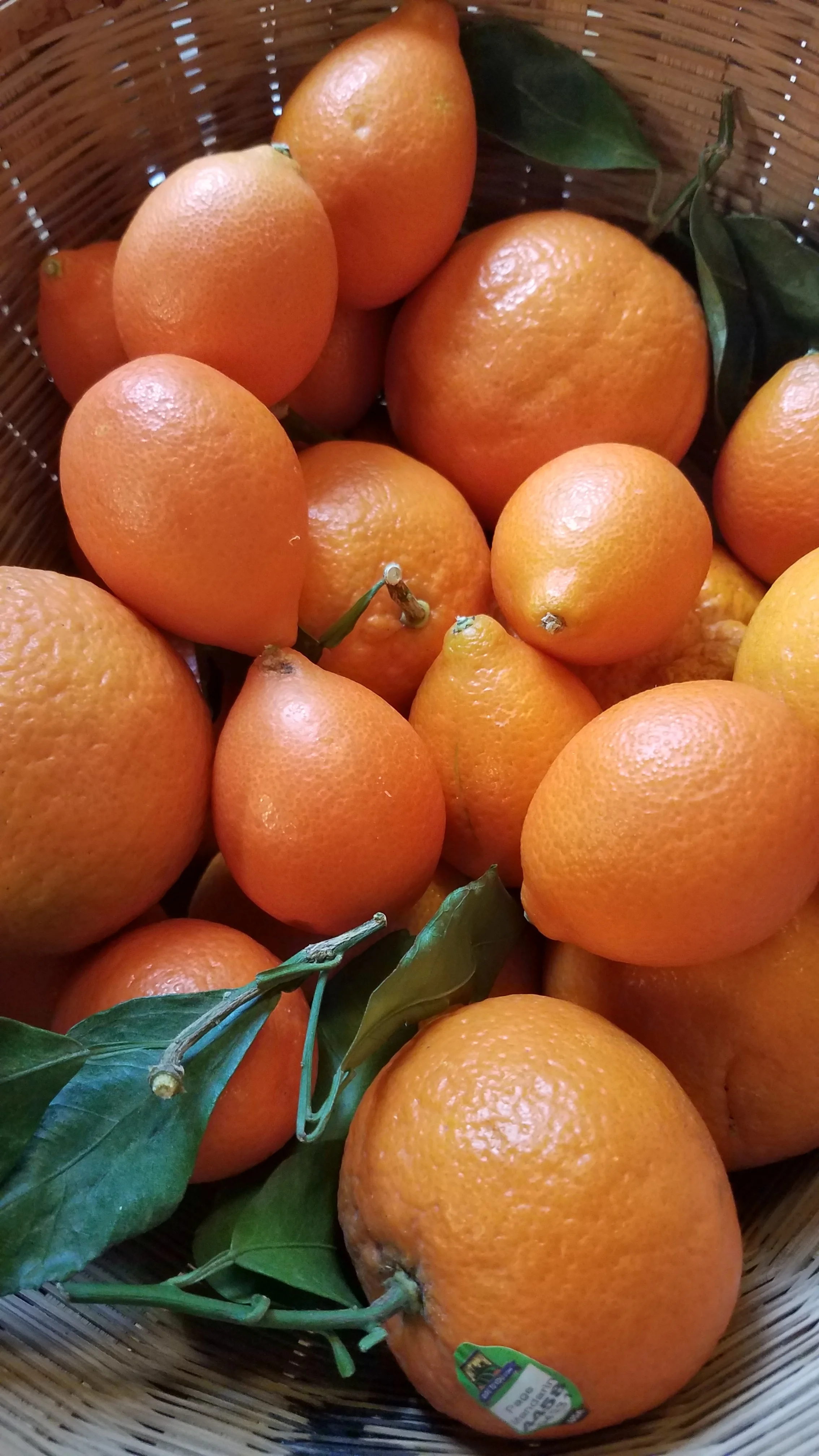 20170202_091747.jpg