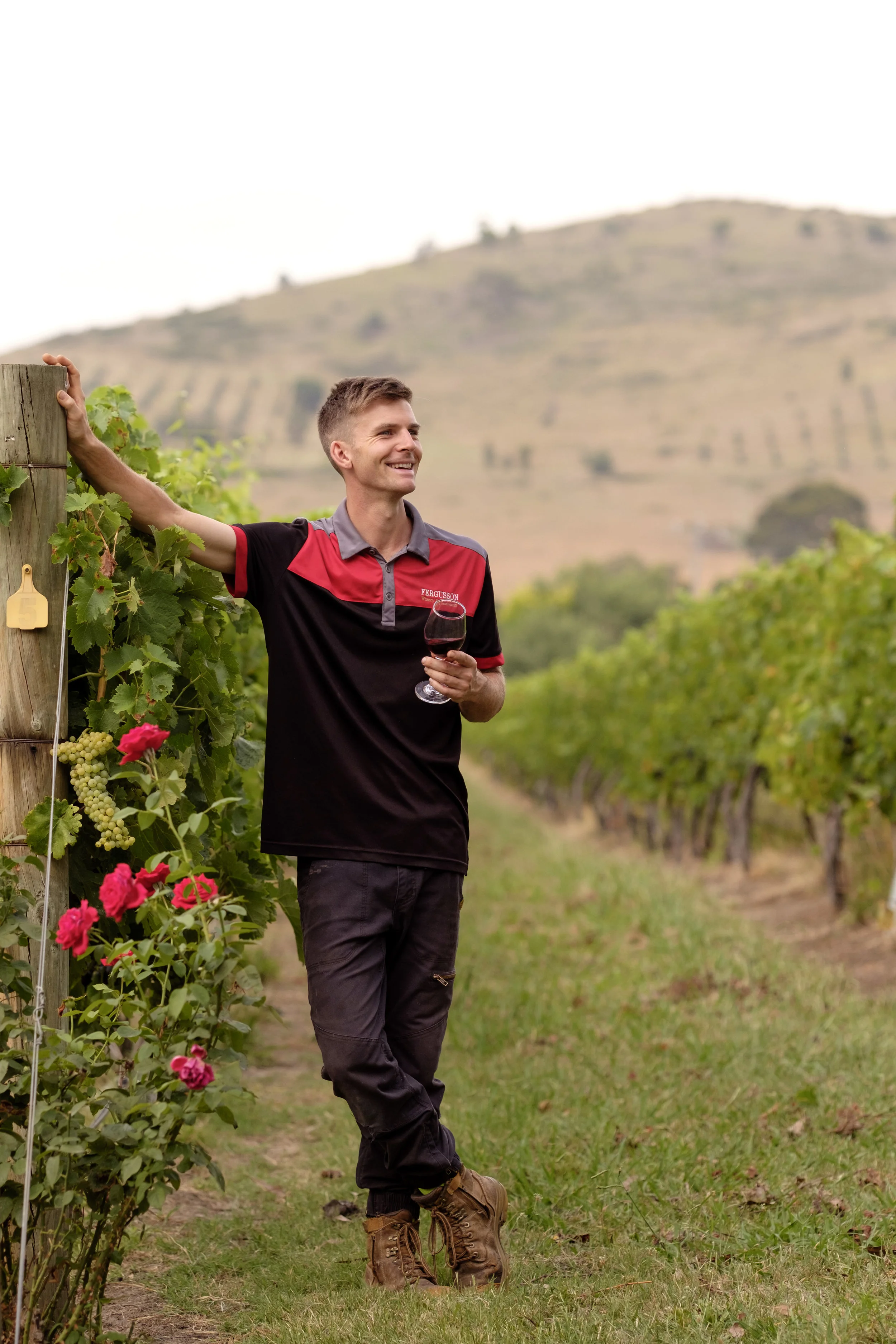 20180213_Fergussons_winery_SOS_0042.jpg