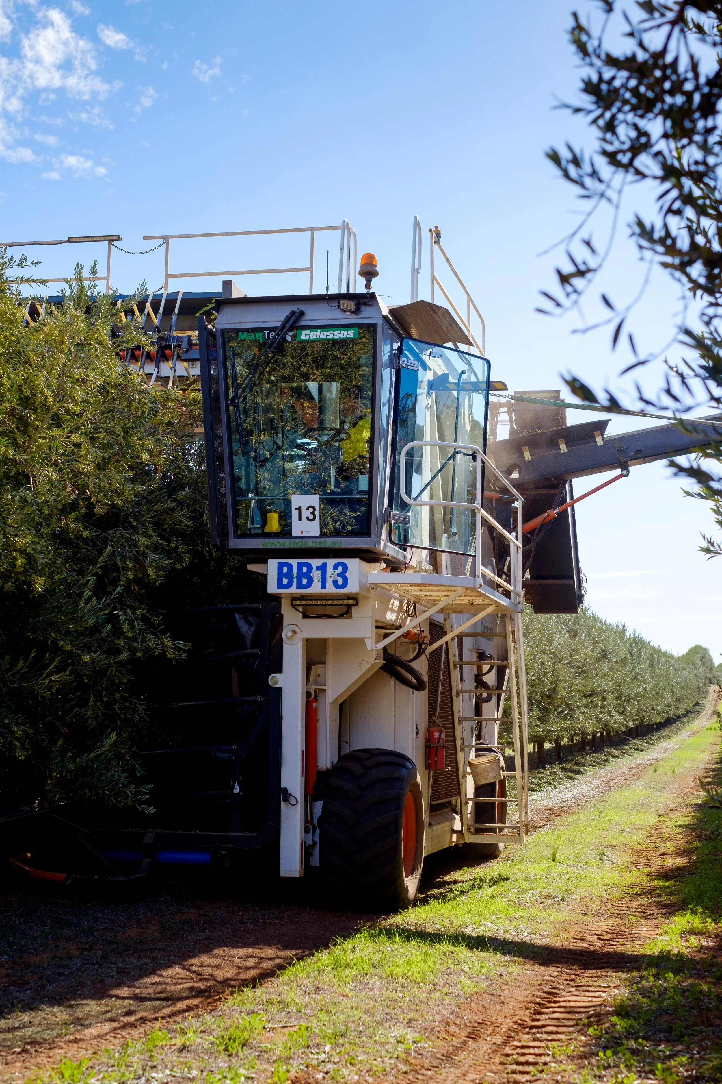 030_BBO_Harvest_2020.jpg