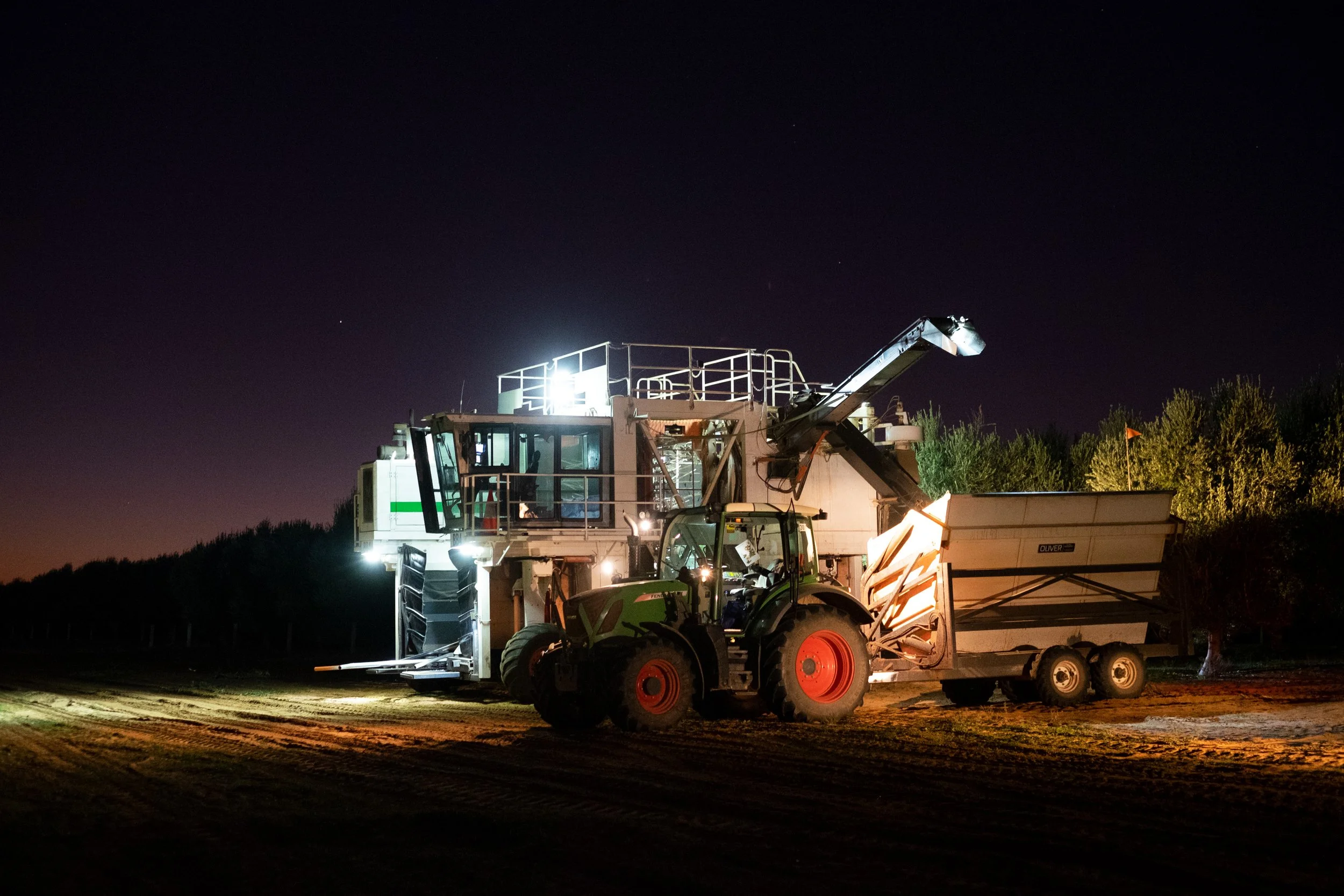 109_BBO_Harvest_2020.jpg