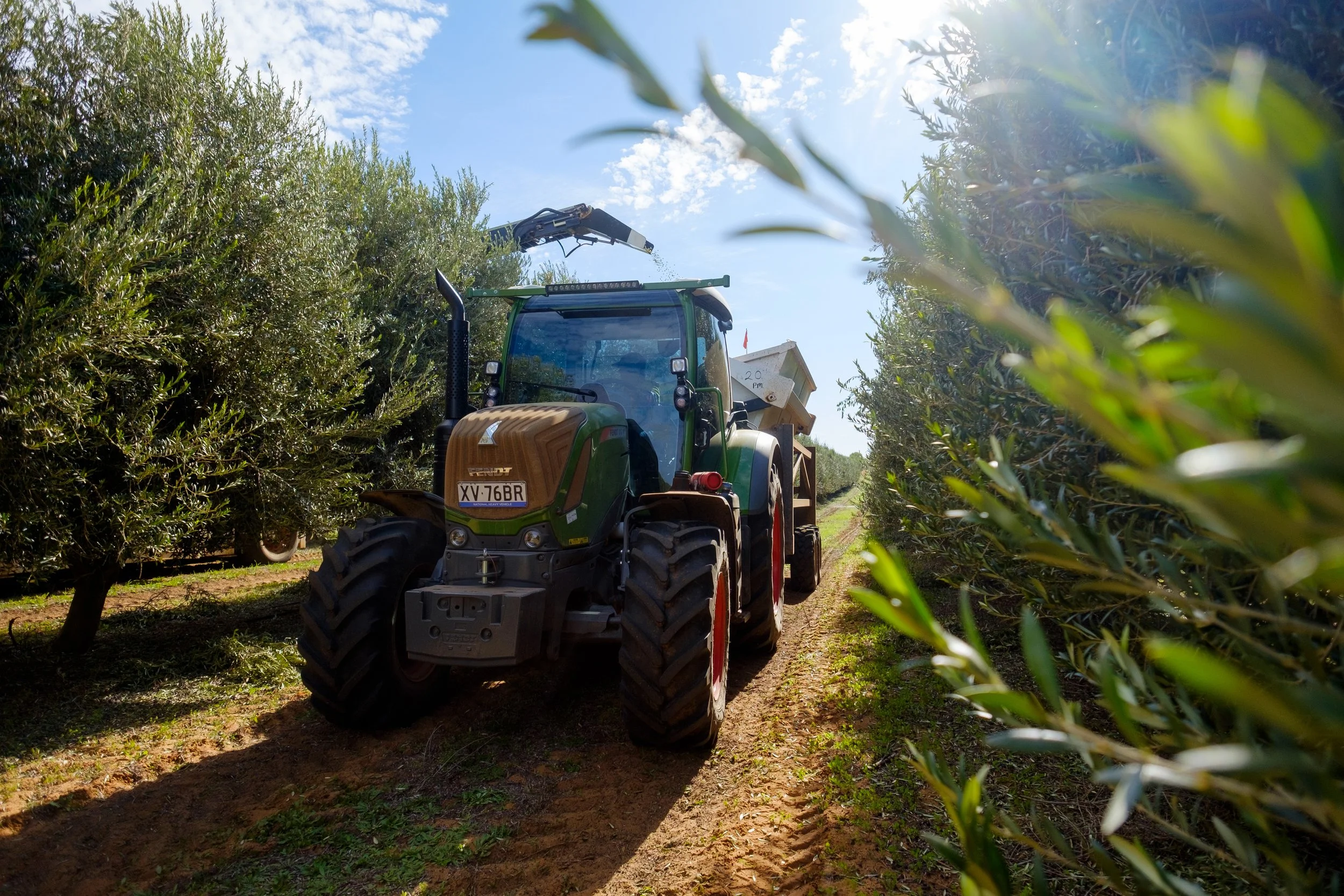 034_BBO_Harvest_2020.jpg