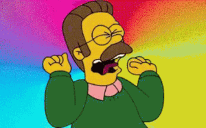 flanders.gif