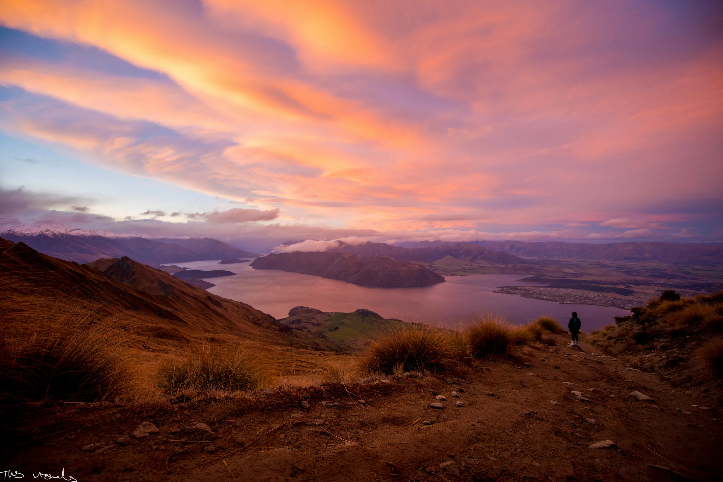 DSC_4317-2.jpg