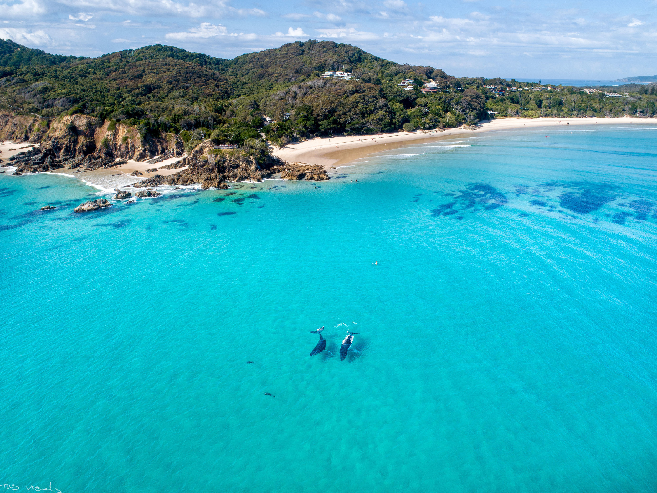 DJI_0112.jpg