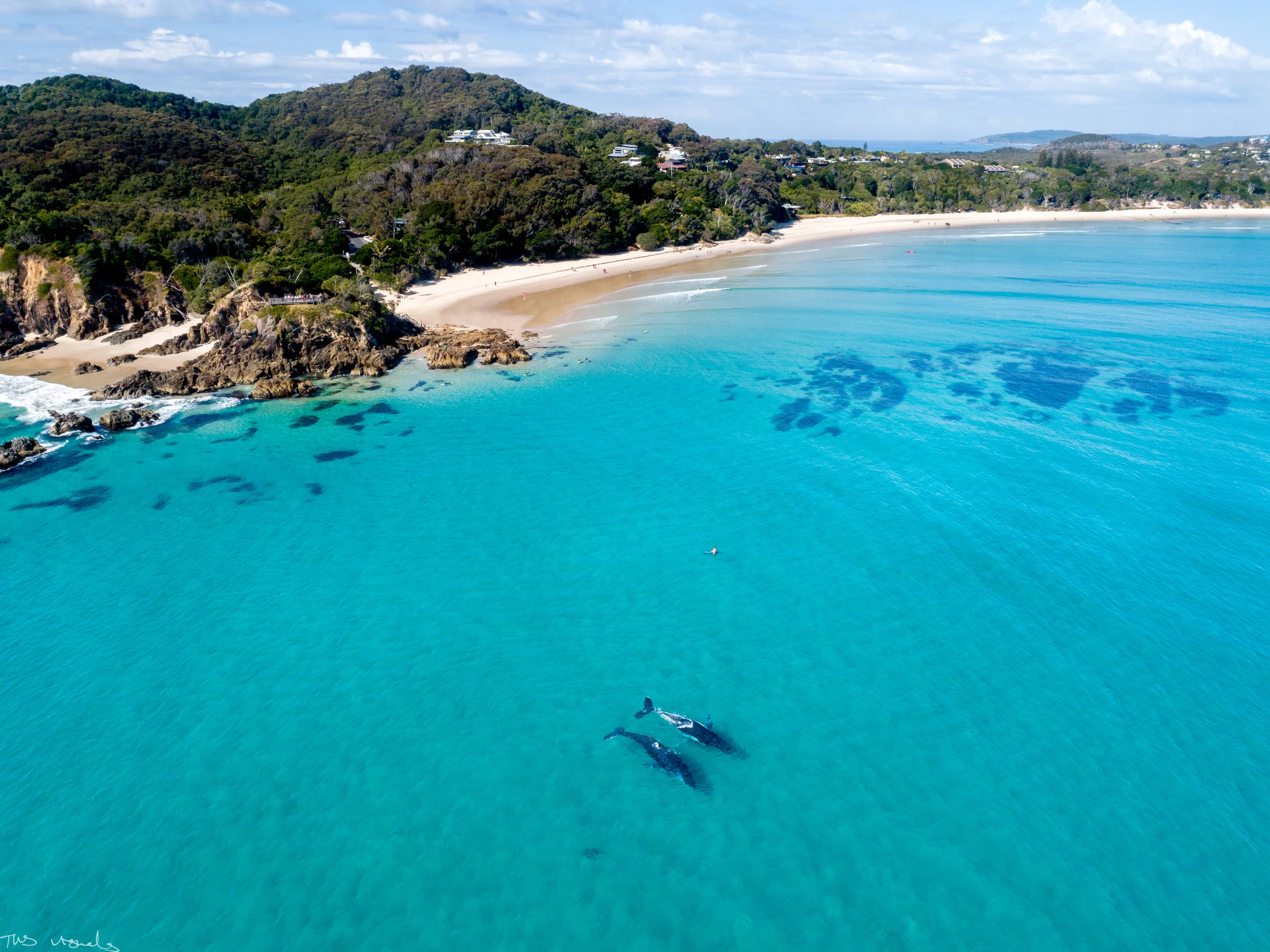 DJI_0107.jpg