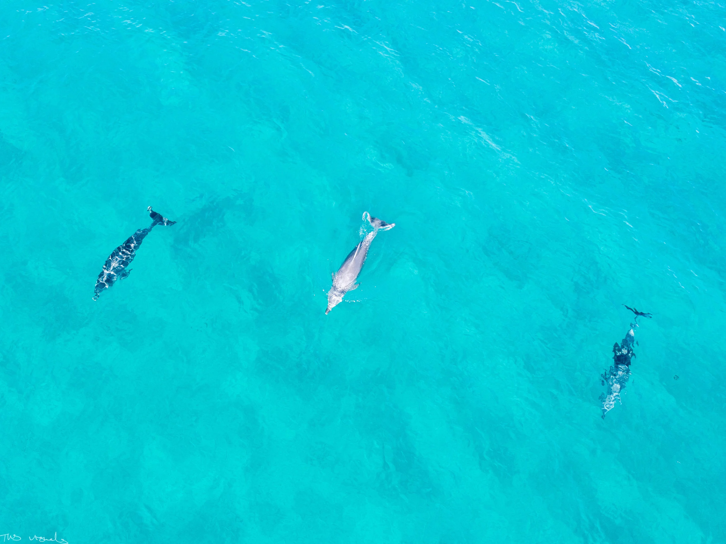 DJI_0093.jpg