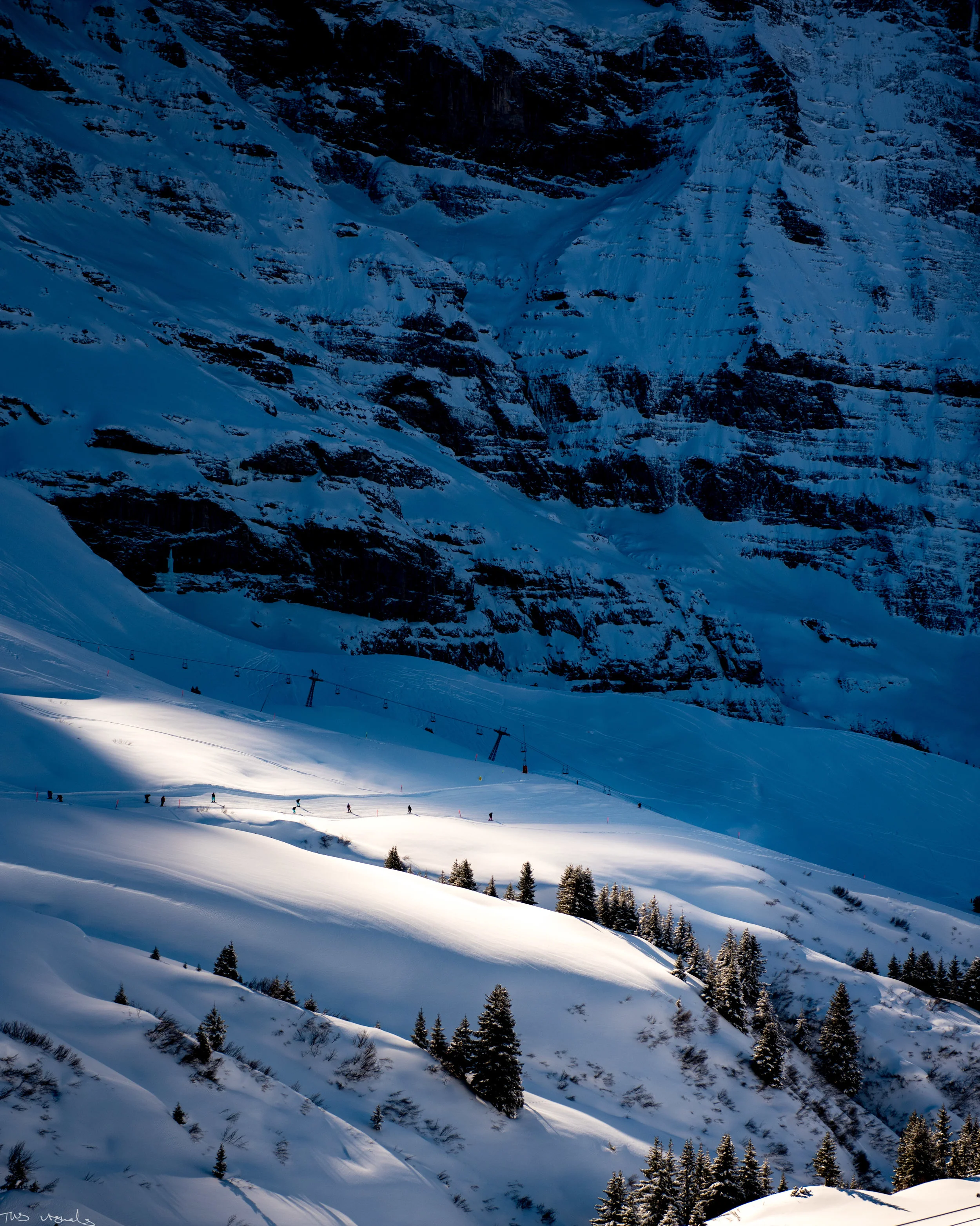 TWS_6947.jpg