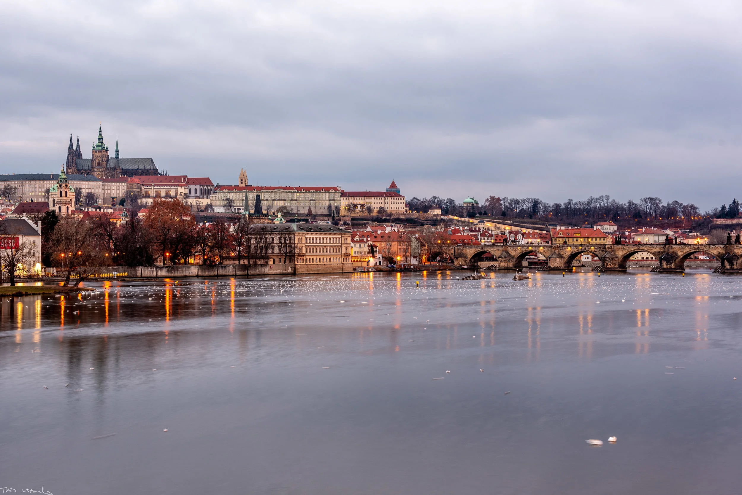 TWS_9457.jpg