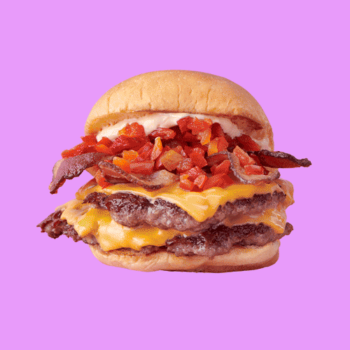 SS-Burger500x500.gif