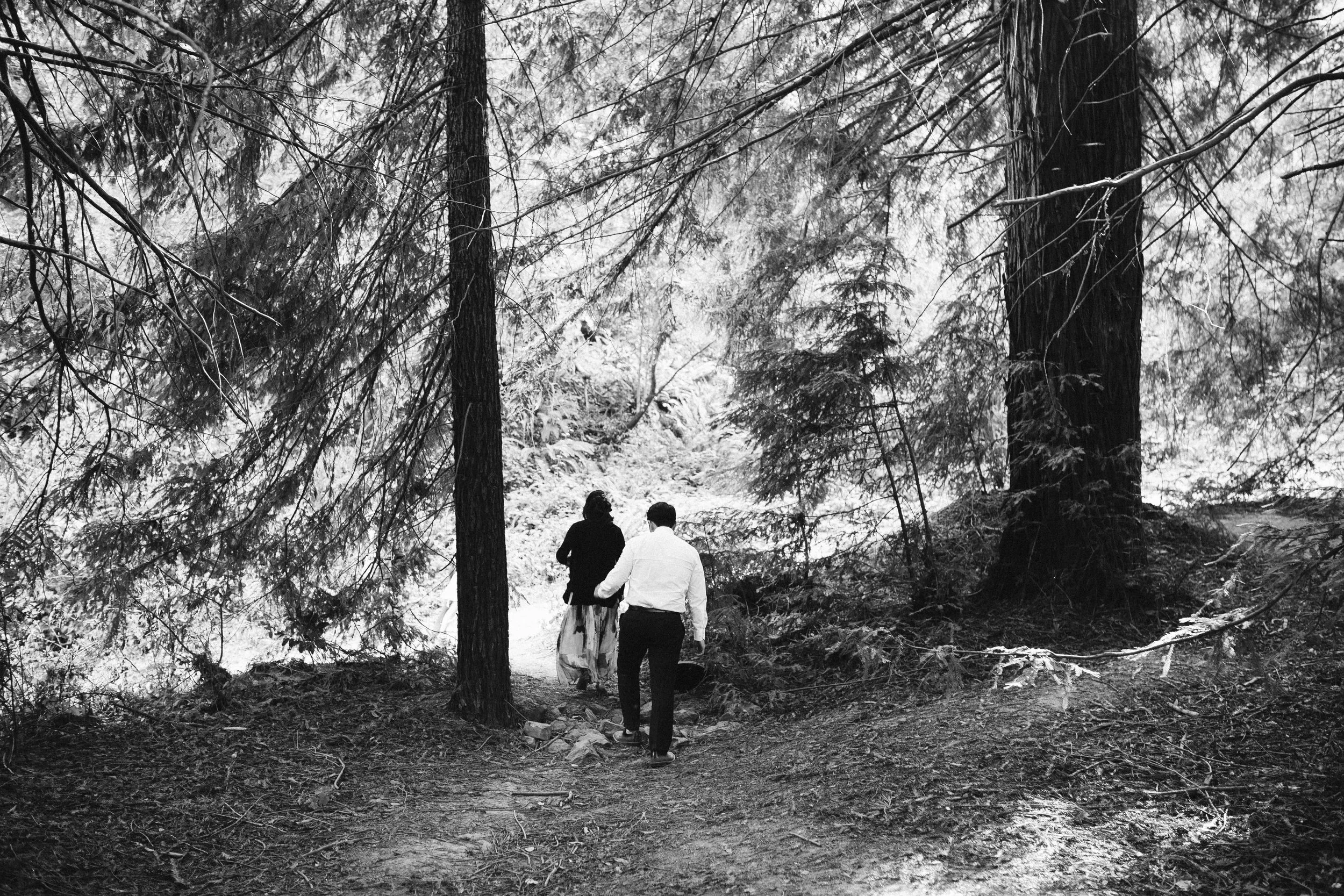 oakland-redwoods-temescal-alley-engagement-201809-99.jpg