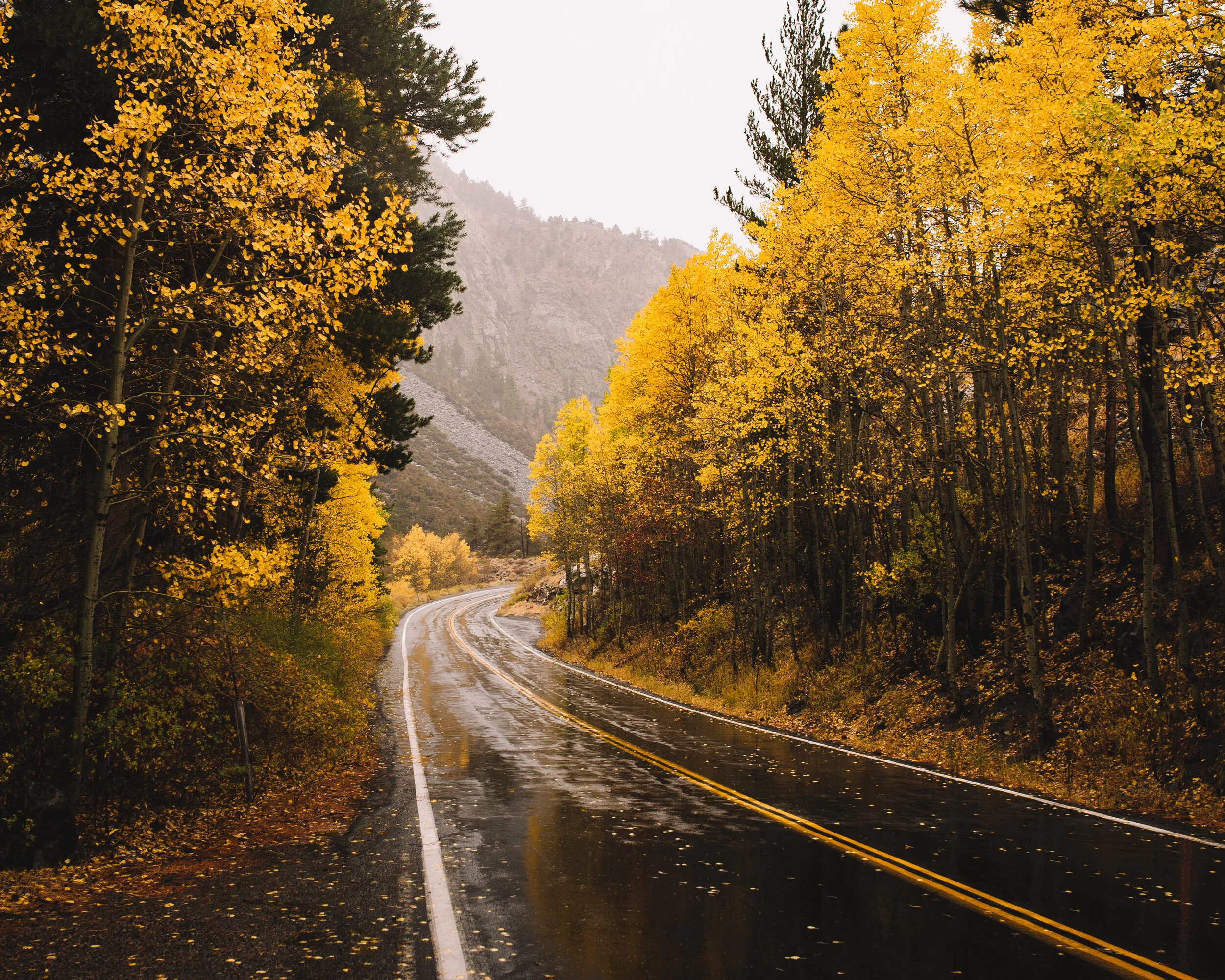 Fall Road