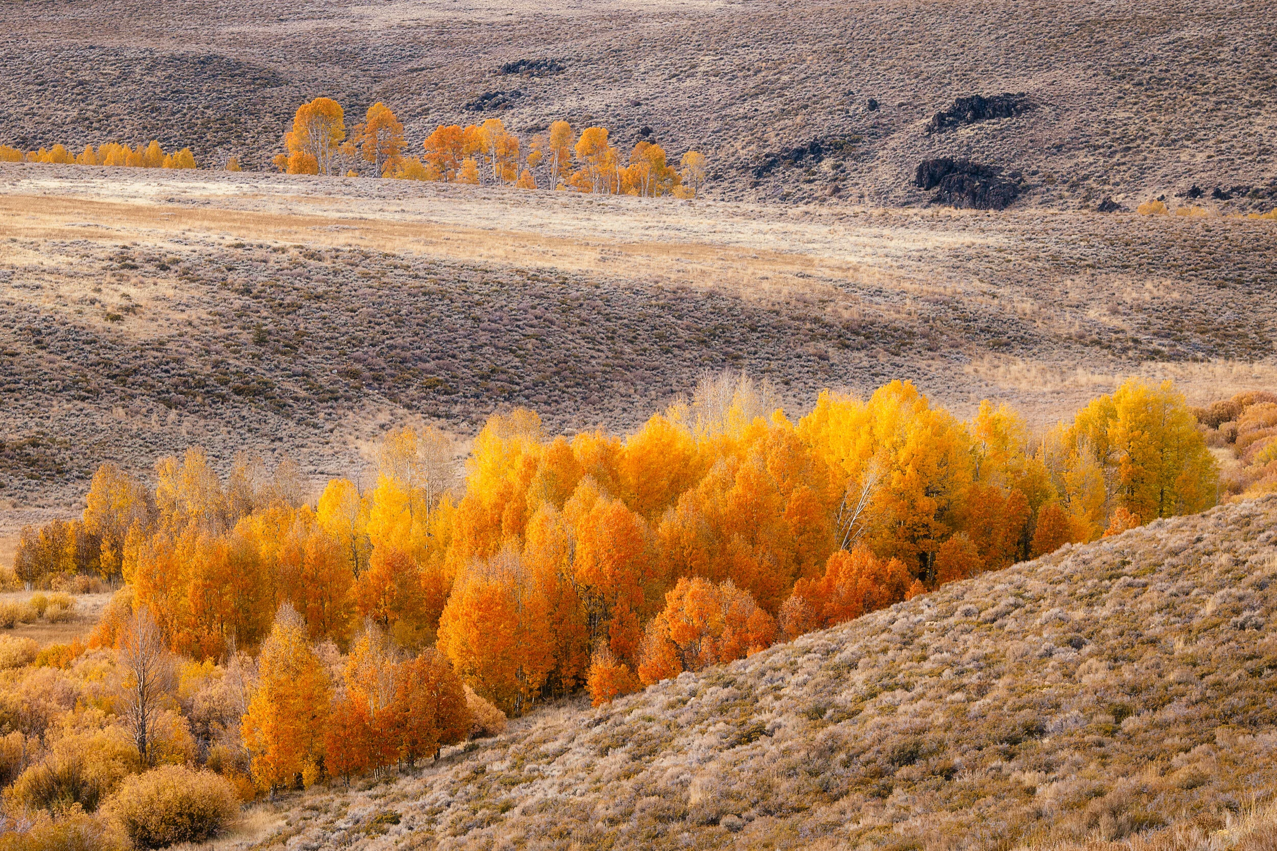 Conway Summit Layers