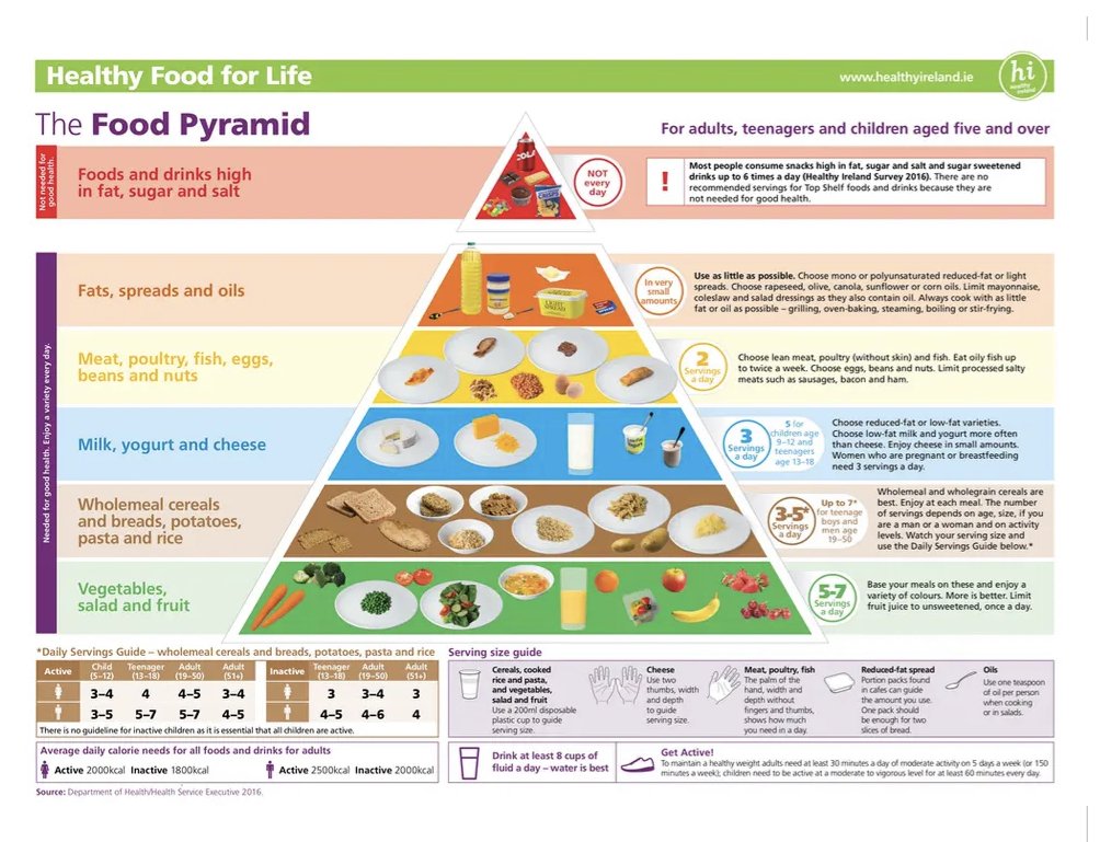 Food Pyramid