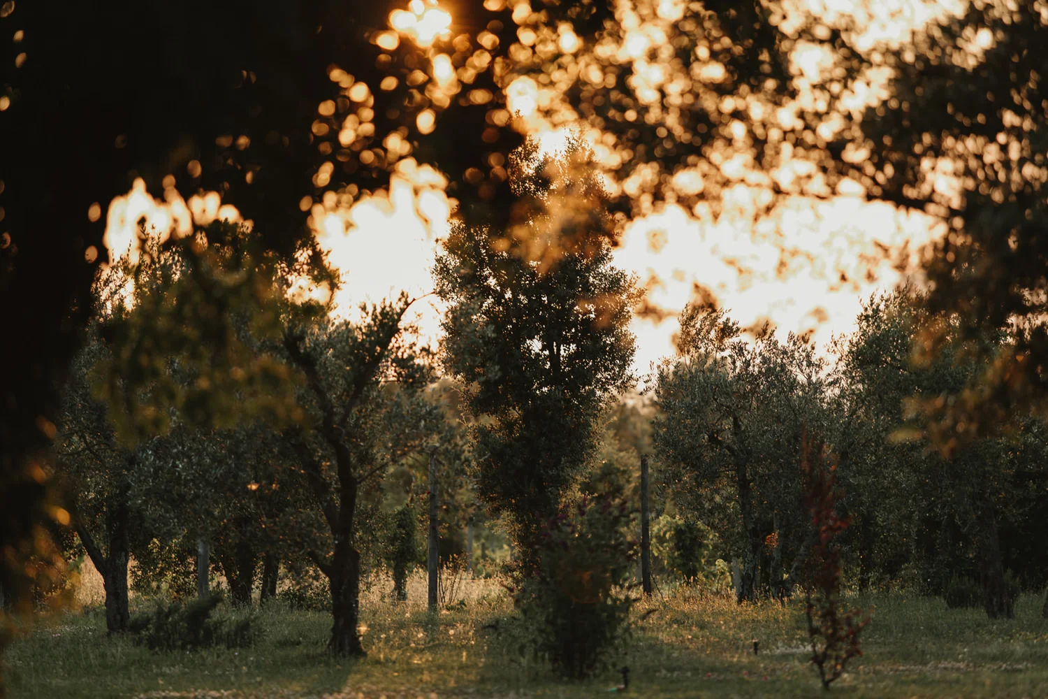 157-Villa-Pozzolo-Tuscany-Fotomagoria.jpg