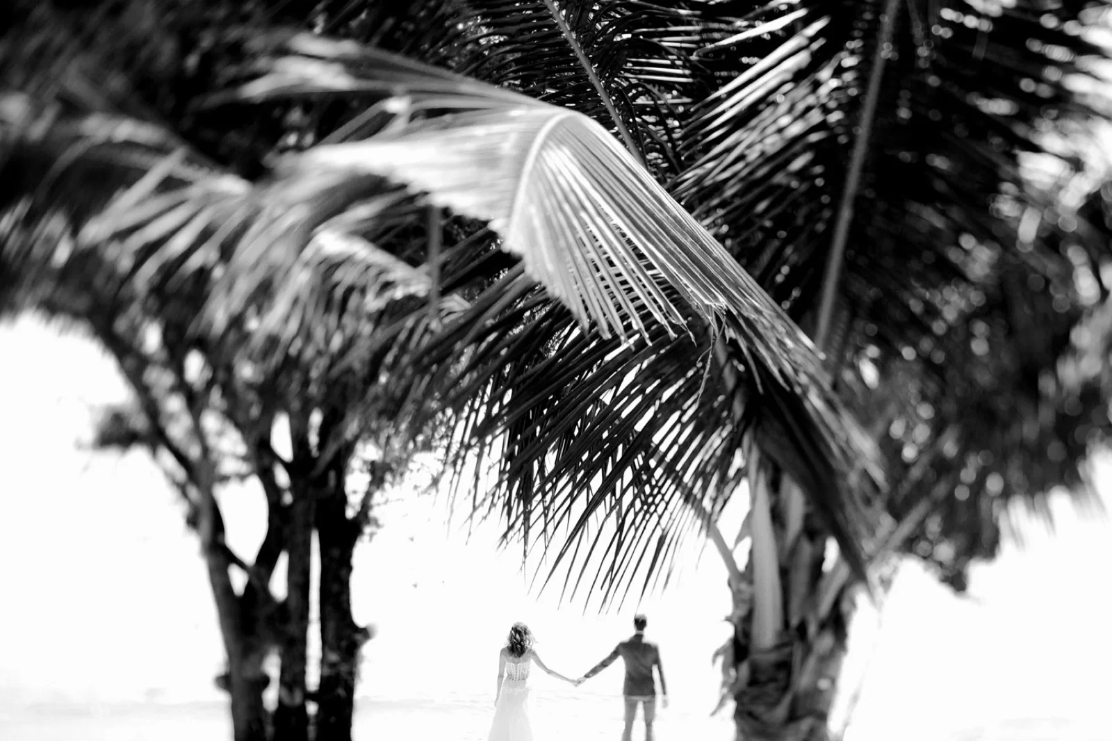 Fotomagoria Best 0f 2018 Wedding Photographer Italy40.jpg