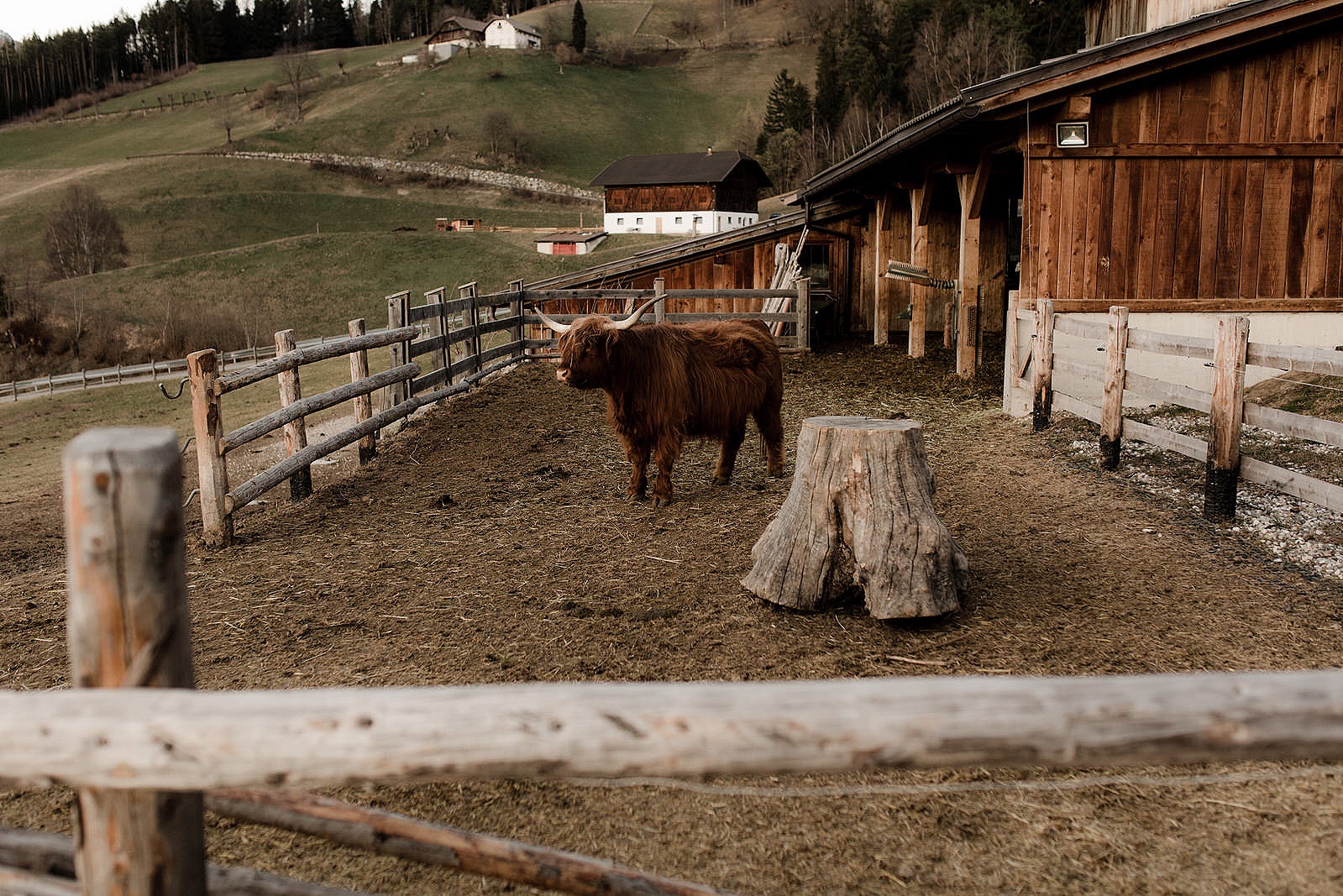 Adventurous+Dolomites+Elopement+Wedding+Fotomagoria49.jpg