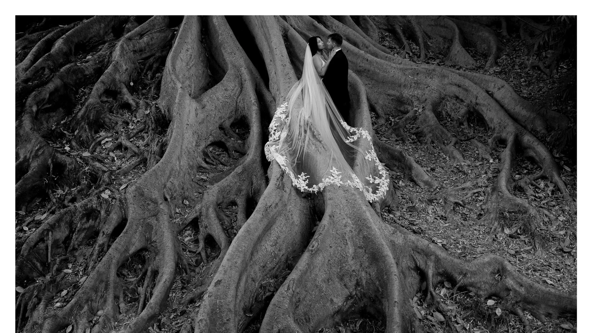 A & N 1887 ramka.jpg