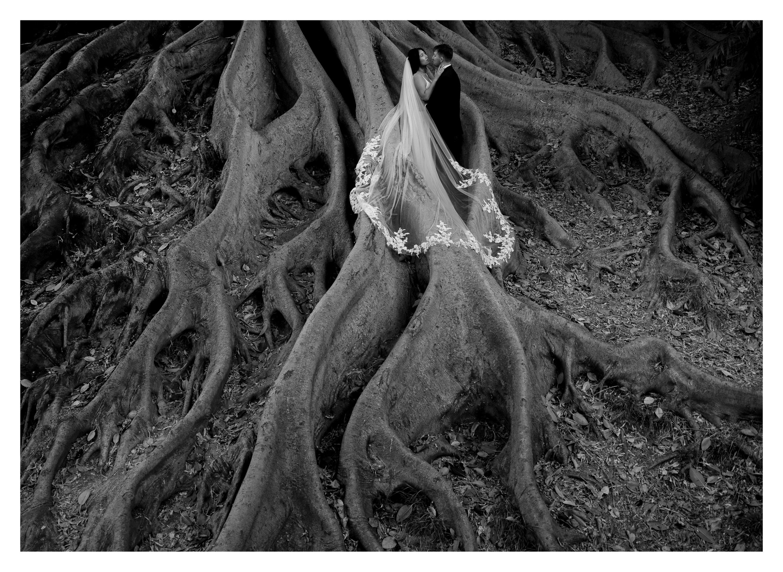 A & N 1887 ramka.jpg