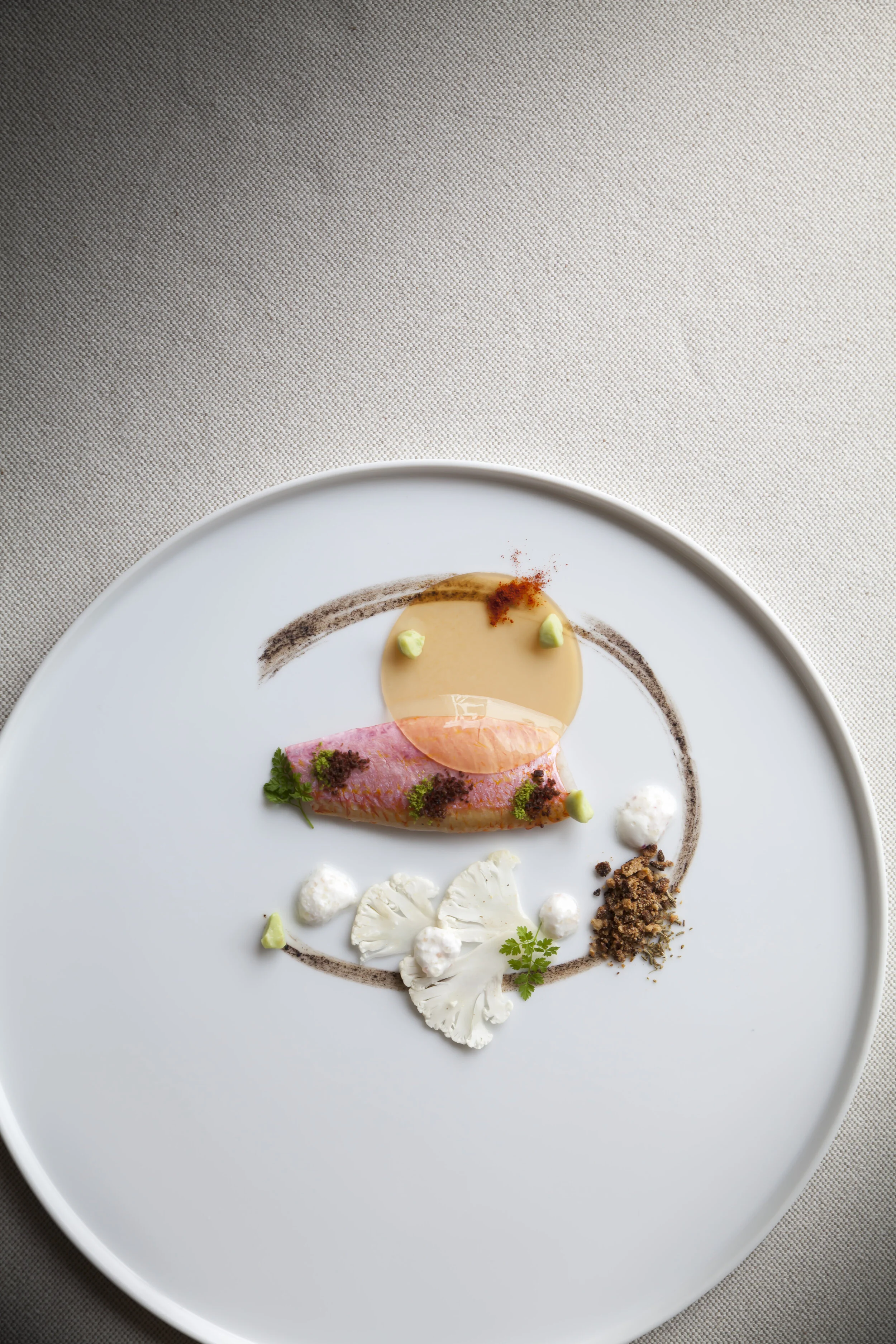 lazzaro1915 triglia.JPG