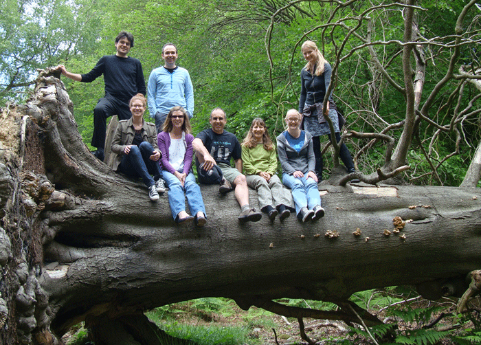 Group-in-tree.gif